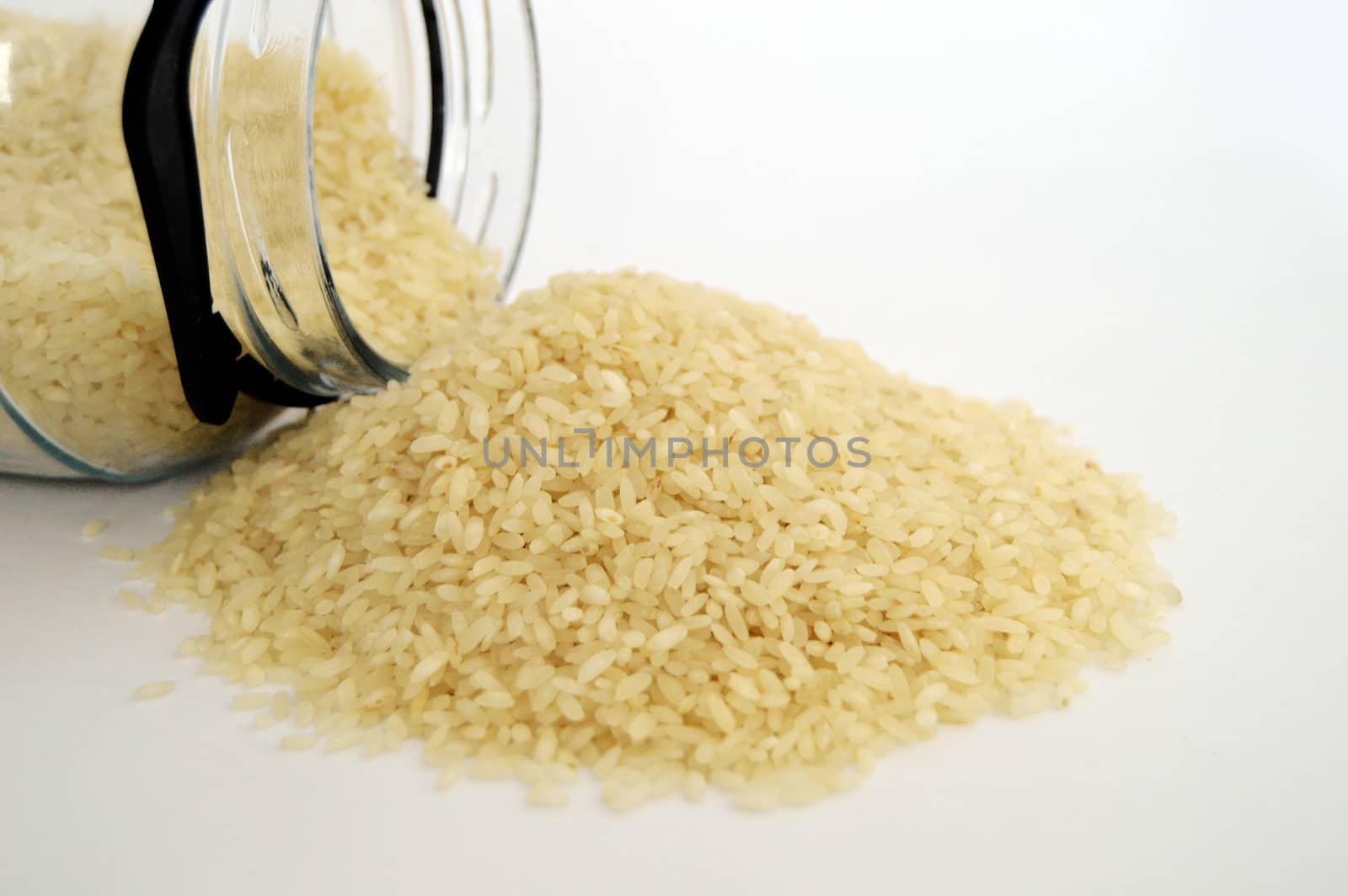 Baldo big rice pictures on the most beautiful and best white background