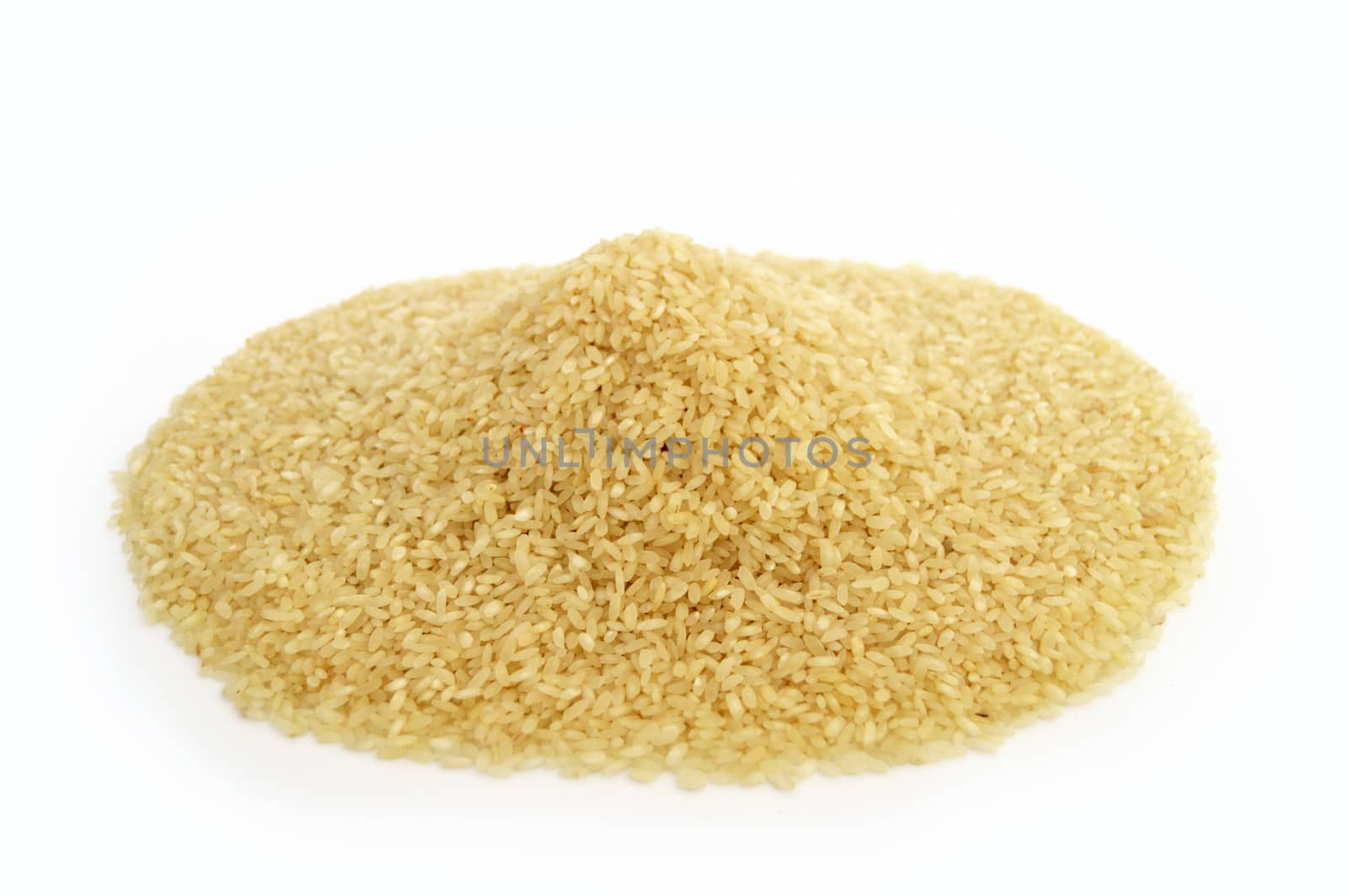 Baldo big rice pictures on the most beautiful and best white background