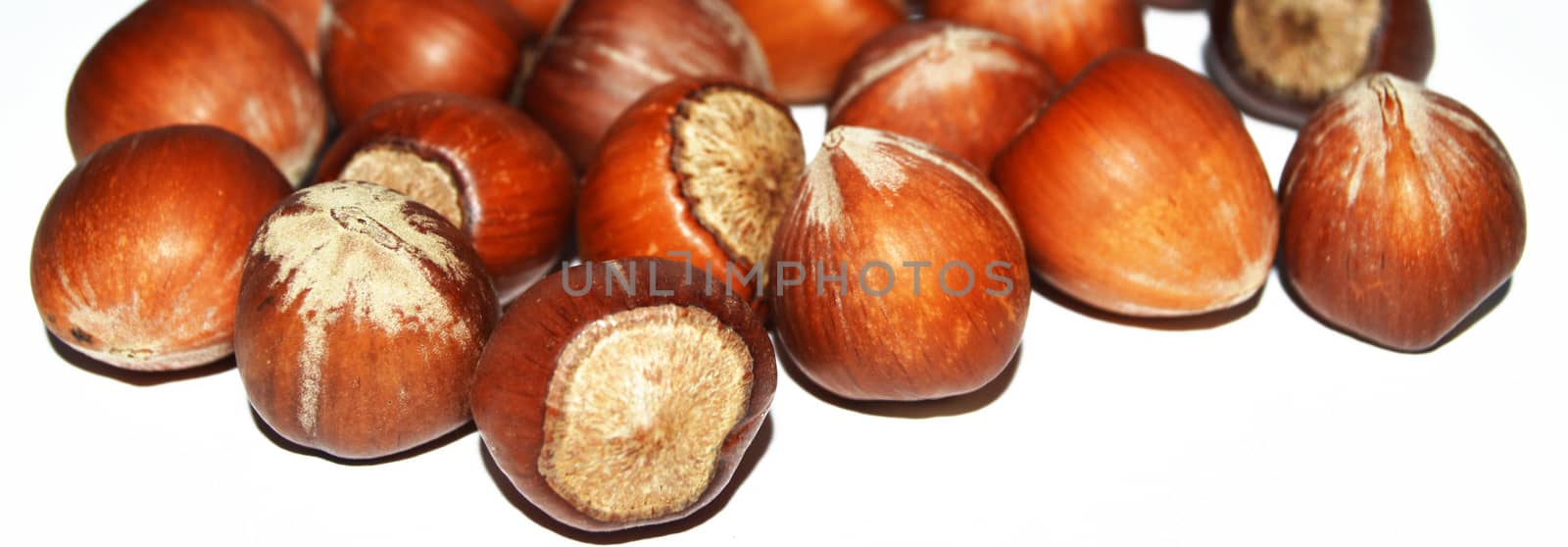 The new fresh shelled nuts pictures by nhatipoglu