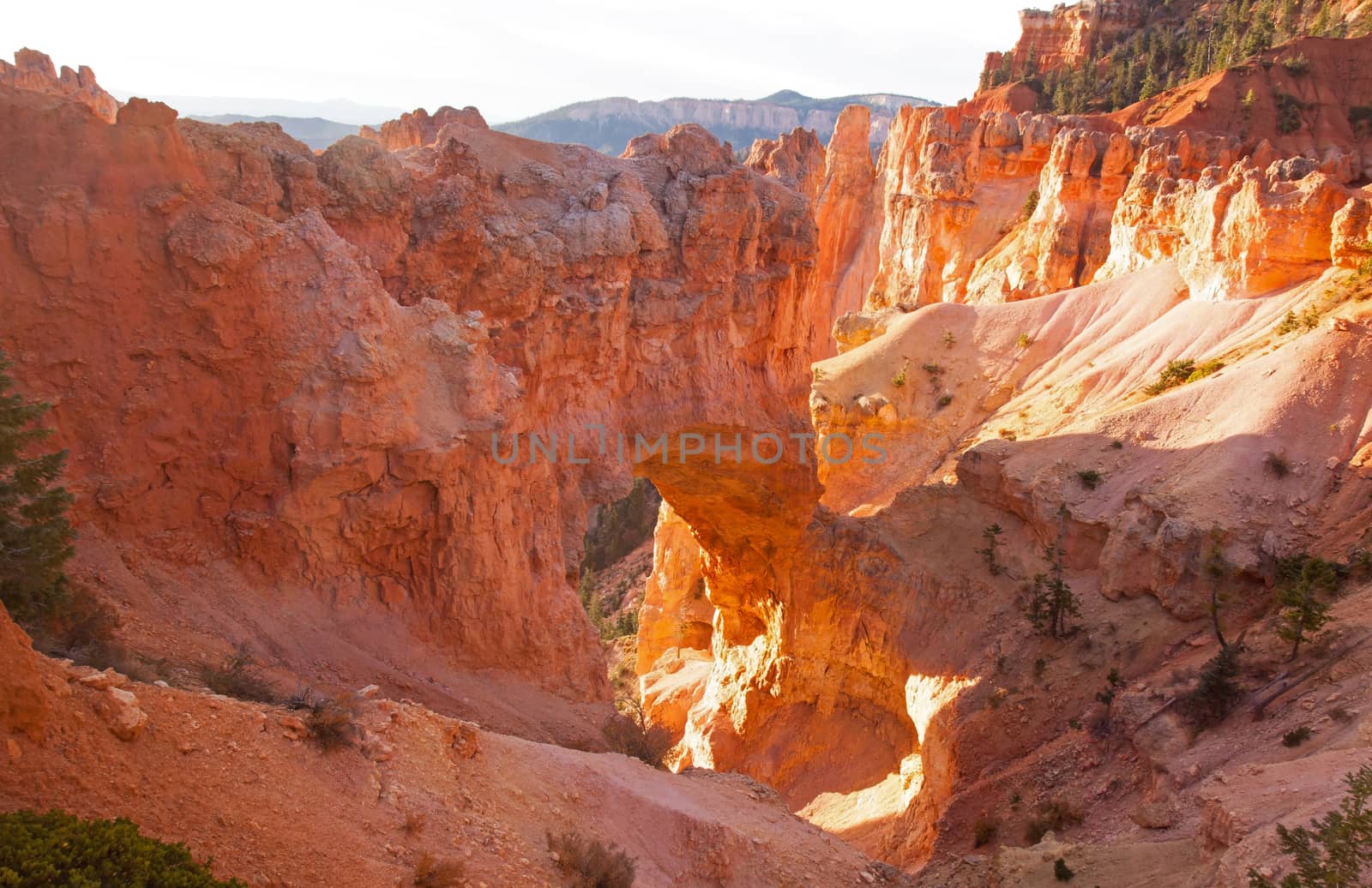 The Natural Bridge, photographed in Bryce Canyon National Park.Utah.