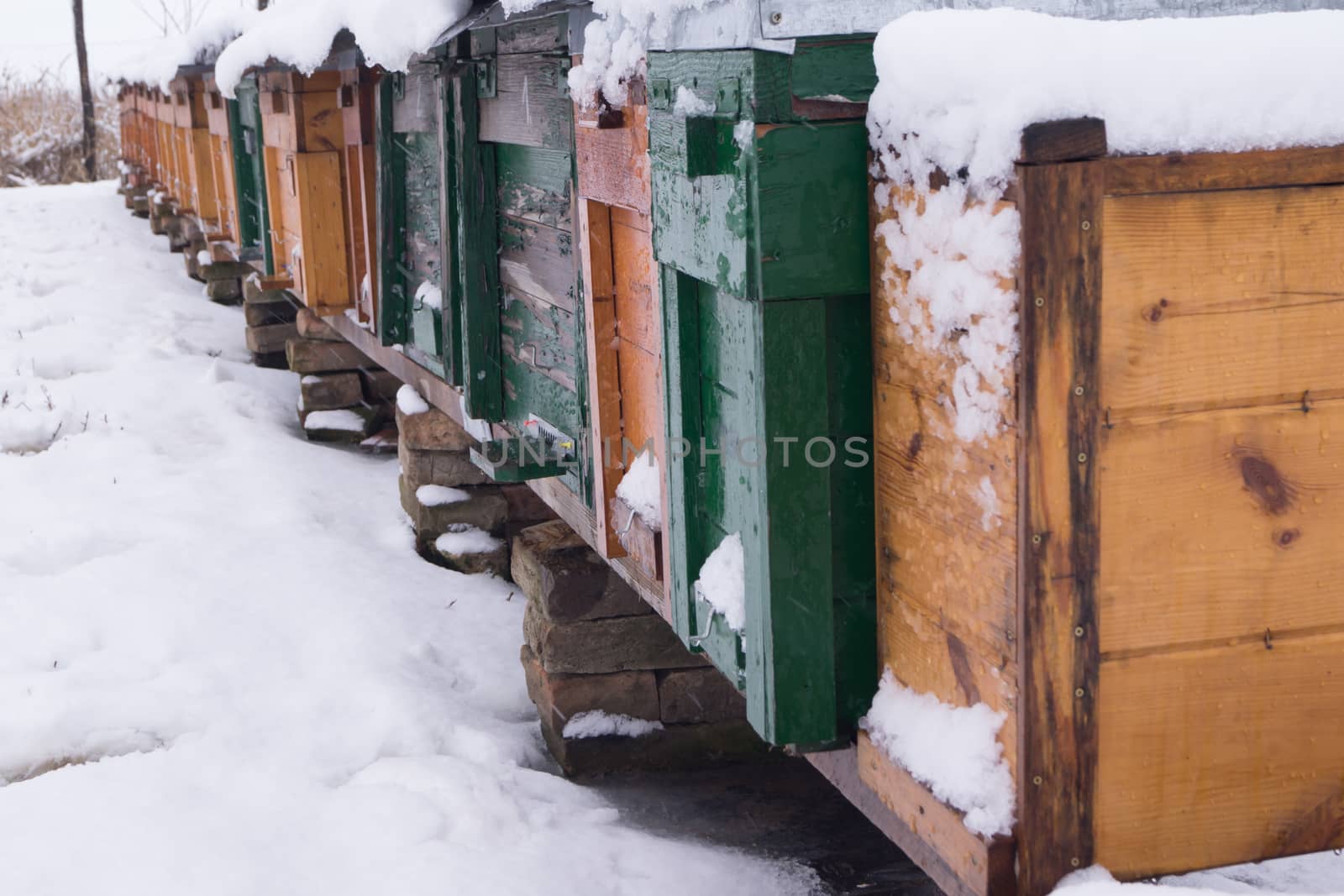 The beekeepers work in winter. by dadalia