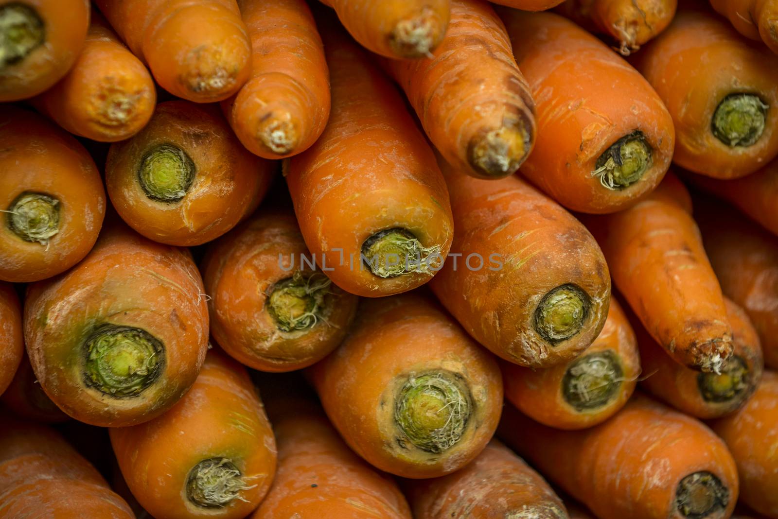 close up from a pile of orange carrots