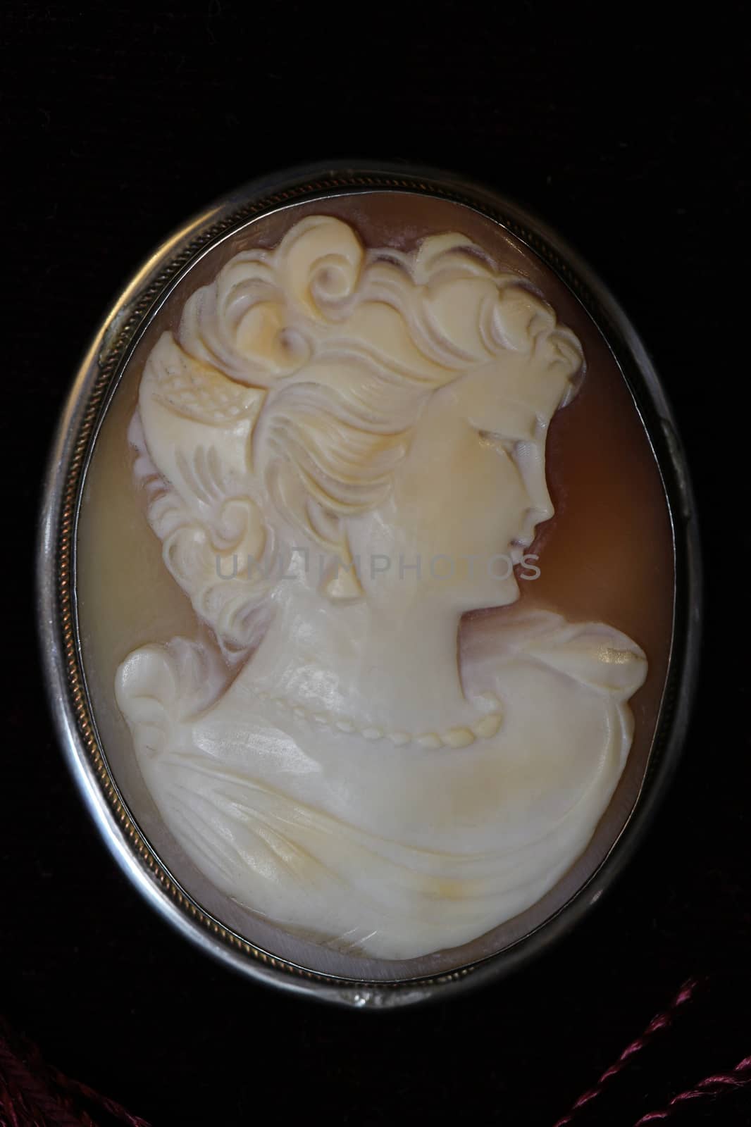 female face profile medallion in a frame close to