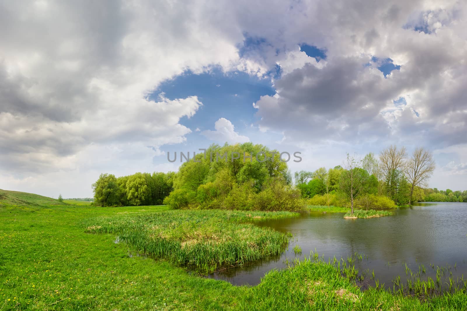 Spring landscape with lake, meadow on the coast and forest on the background of a sky with clouds in the afternoon
