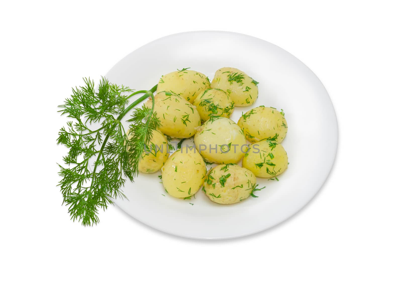 Boiled whole young potatoes of early ripening with butter, sprinkle with chopped dill on a white dish and a sprig of dill separately on a light background
