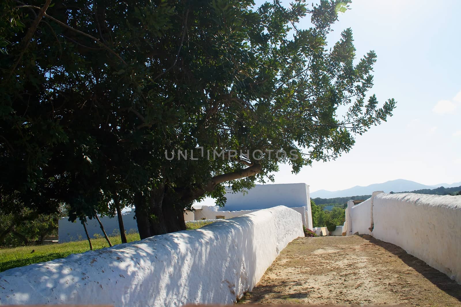 View of a country pathway to a typical 'casa de campo' in Ibiza