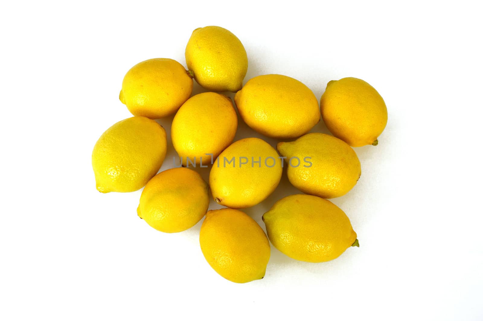 Lemon paintings on the most beautiful white ground