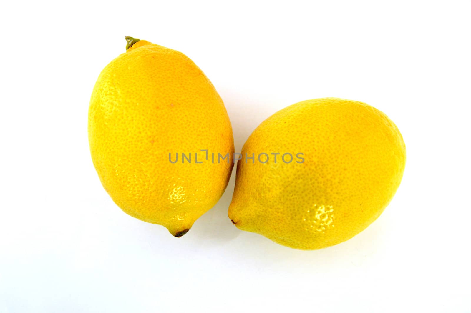 Lemon paintings on the most beautiful white ground by nhatipoglu