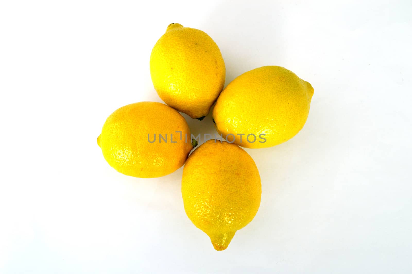 Lemon paintings on the most beautiful white ground by nhatipoglu