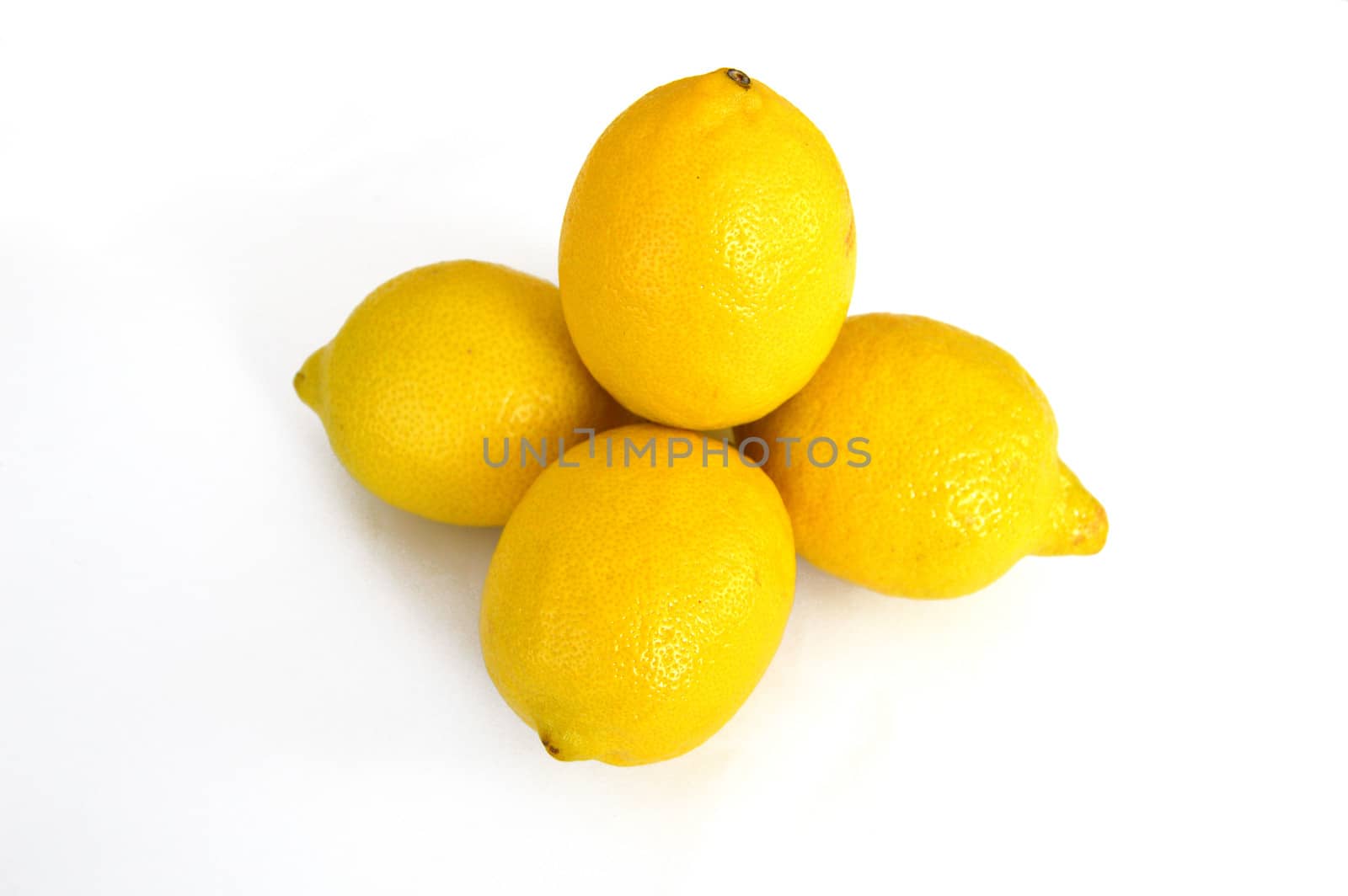 Lemon paintings on the most beautiful white ground