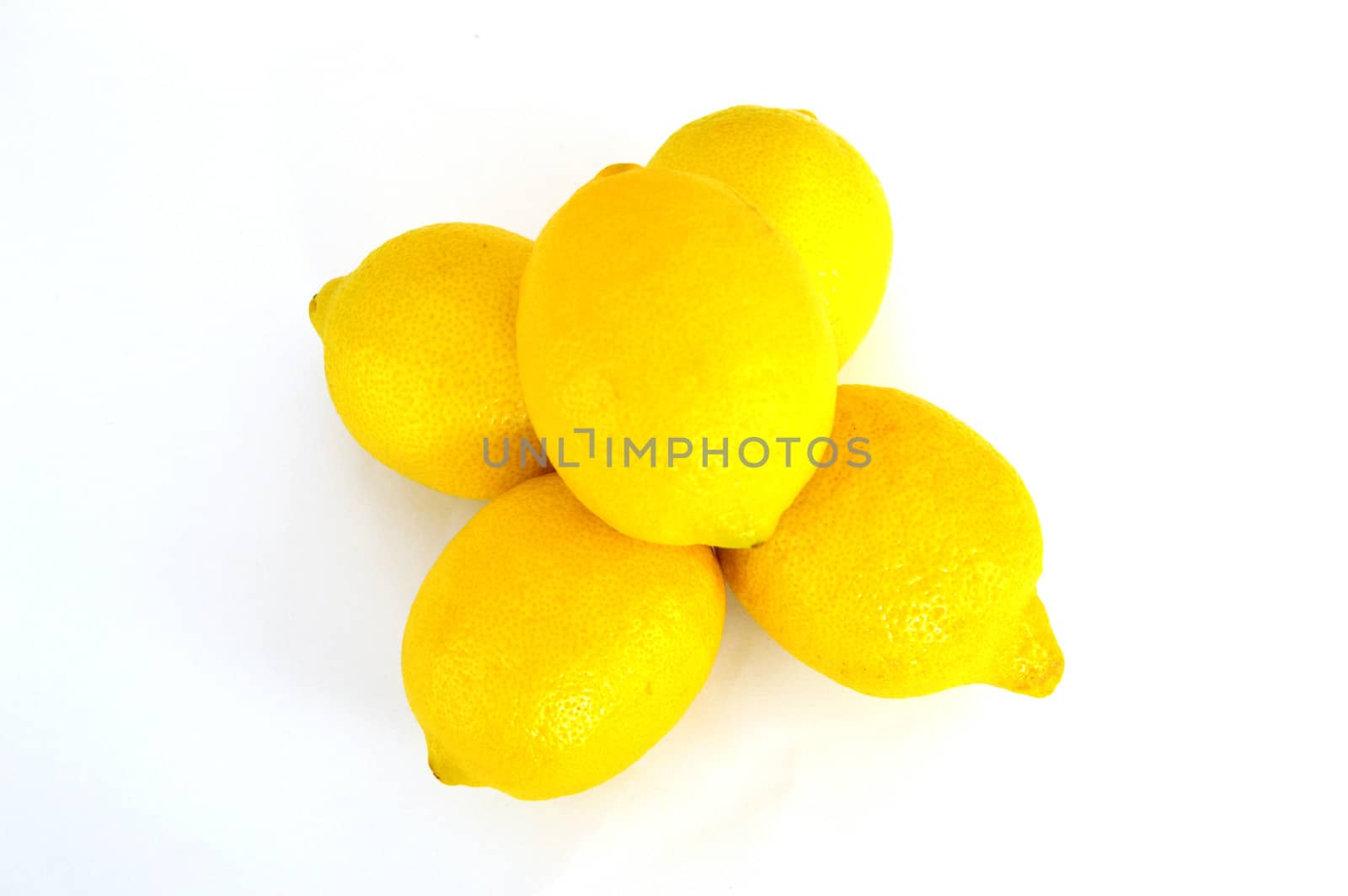 Lemon paintings on the most beautiful white ground