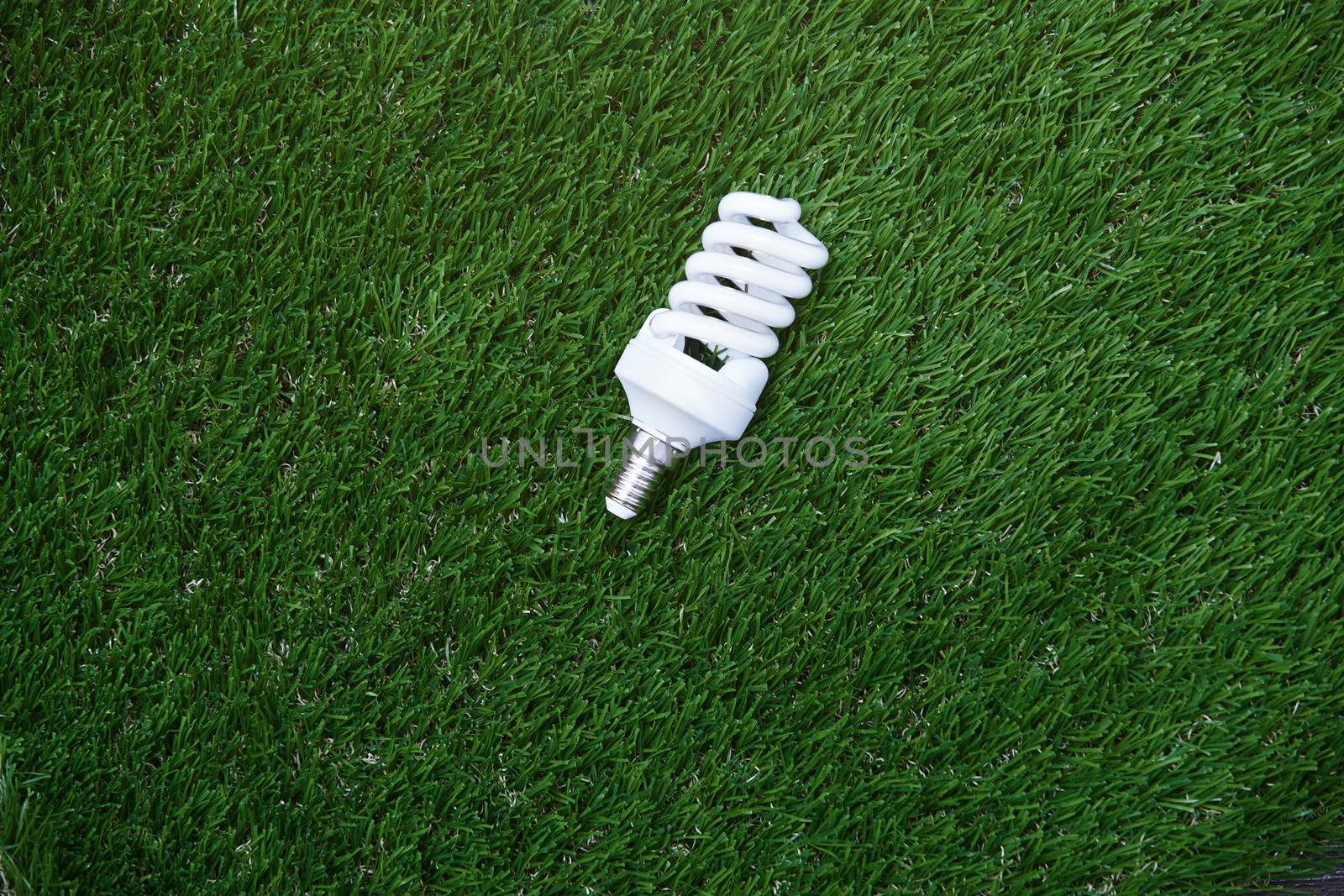Energy saving bulb in the grass by Novic