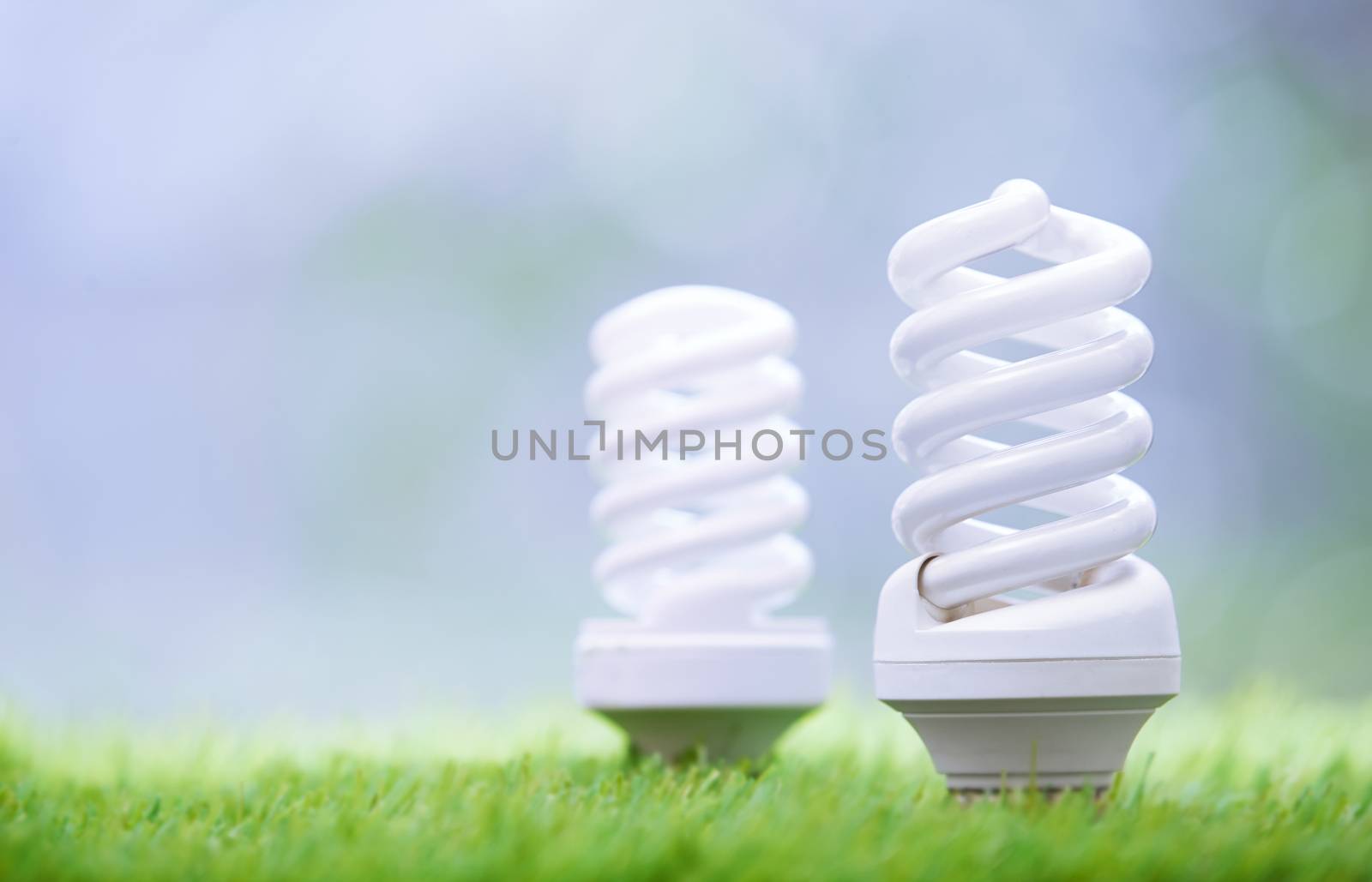 Energy saving bulbs in the grass. Close-up photo