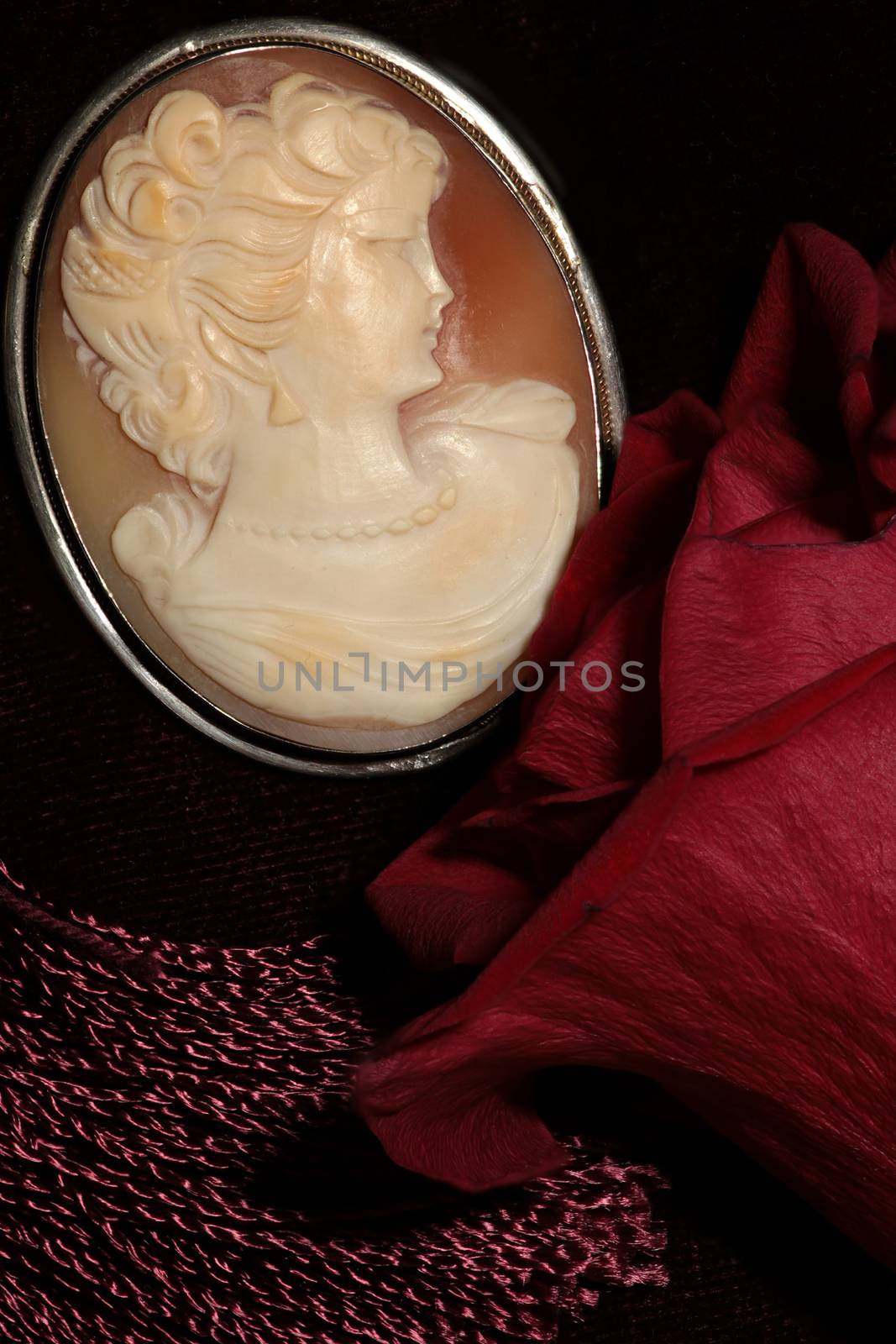 cameo  female face profile medallion jewelry macro shot