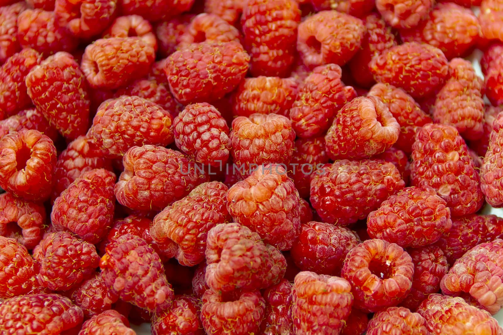 Photo of the background fresh red raspberry