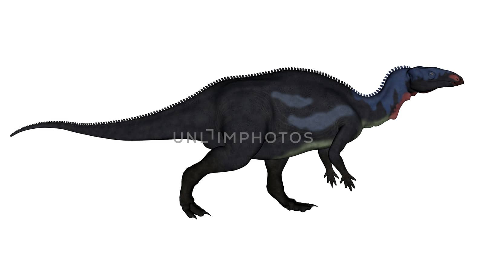 Camptosaurus dinosaur walking isolated in white background - 3D render