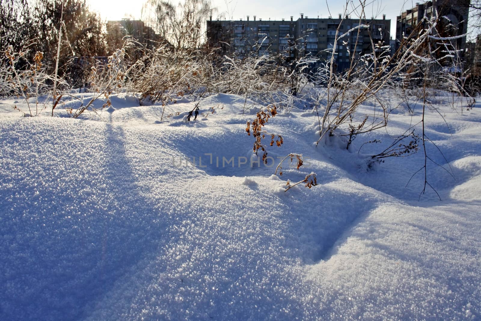 detail the frozen snow against sun, close-up snow crystals