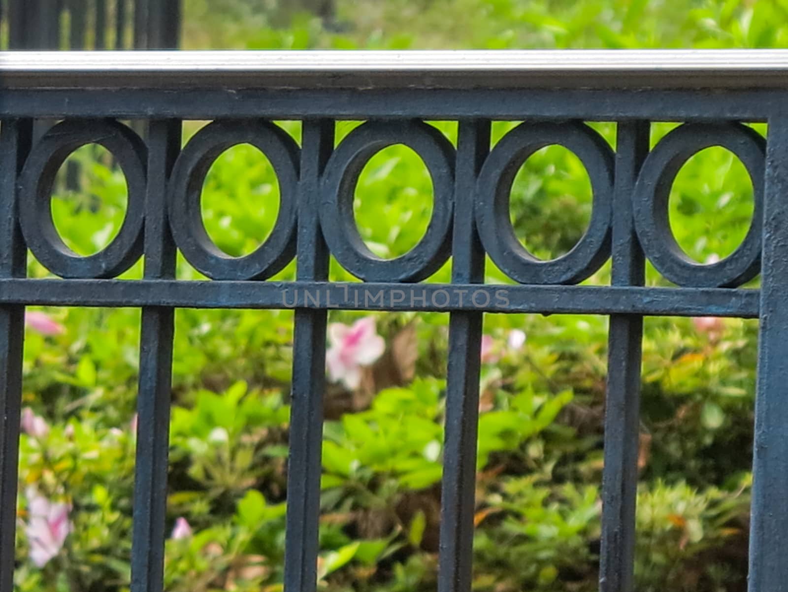 Black Iron Fence by quackersnaps