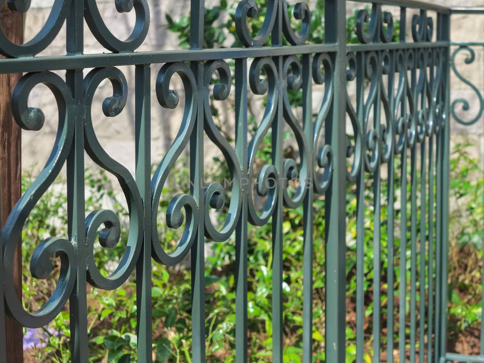 Green Iron Fence by quackersnaps