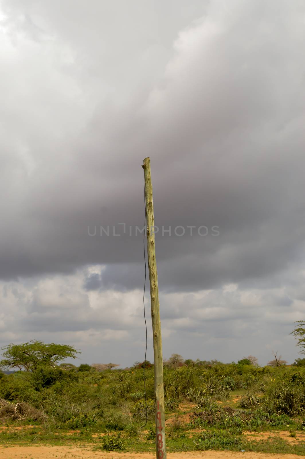 Old wooden electric pole with cable pendant on Mombasa road to Nairobi in Kenya