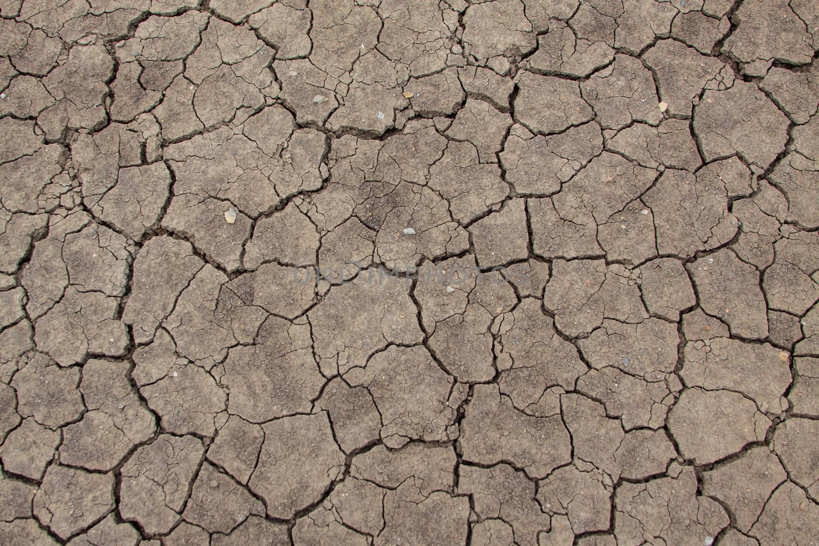 Crack earth global warming effect background by worrayuth