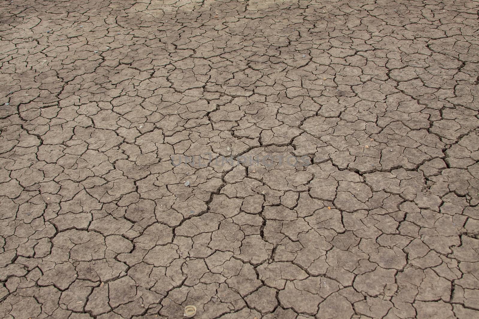 Crack soil on dry season, global worming effect by worrayuth