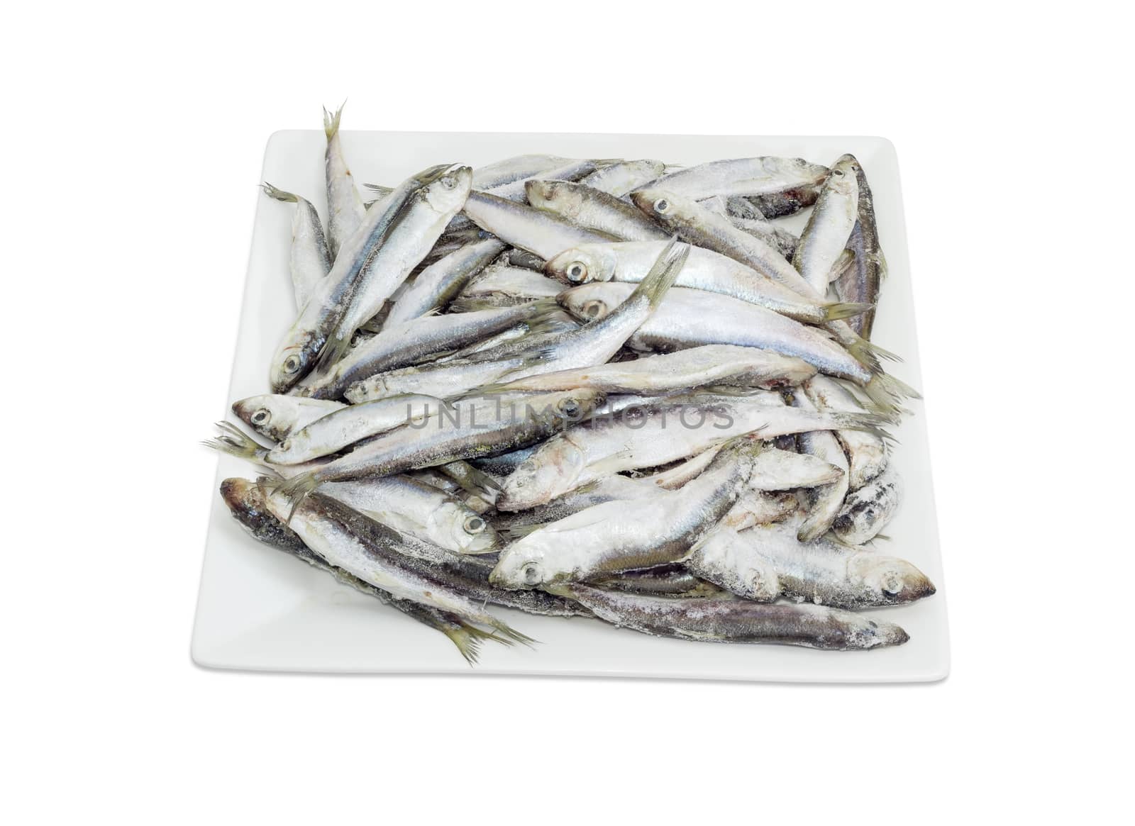 Frozen baltic herring on a square white dish by anmbph