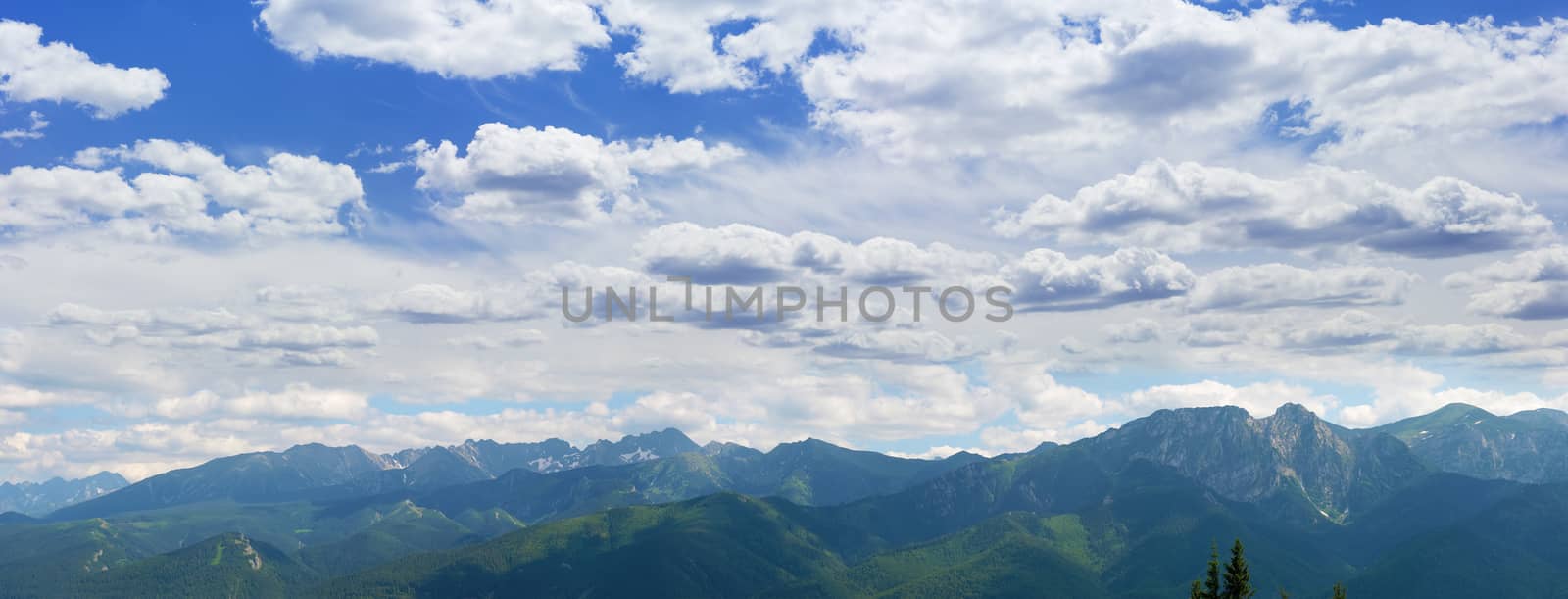 Summer panorama of massif with mountain ranges covered with spruce forest and mountain ranges with rocks and snow patches on the background of the sky with clouds
