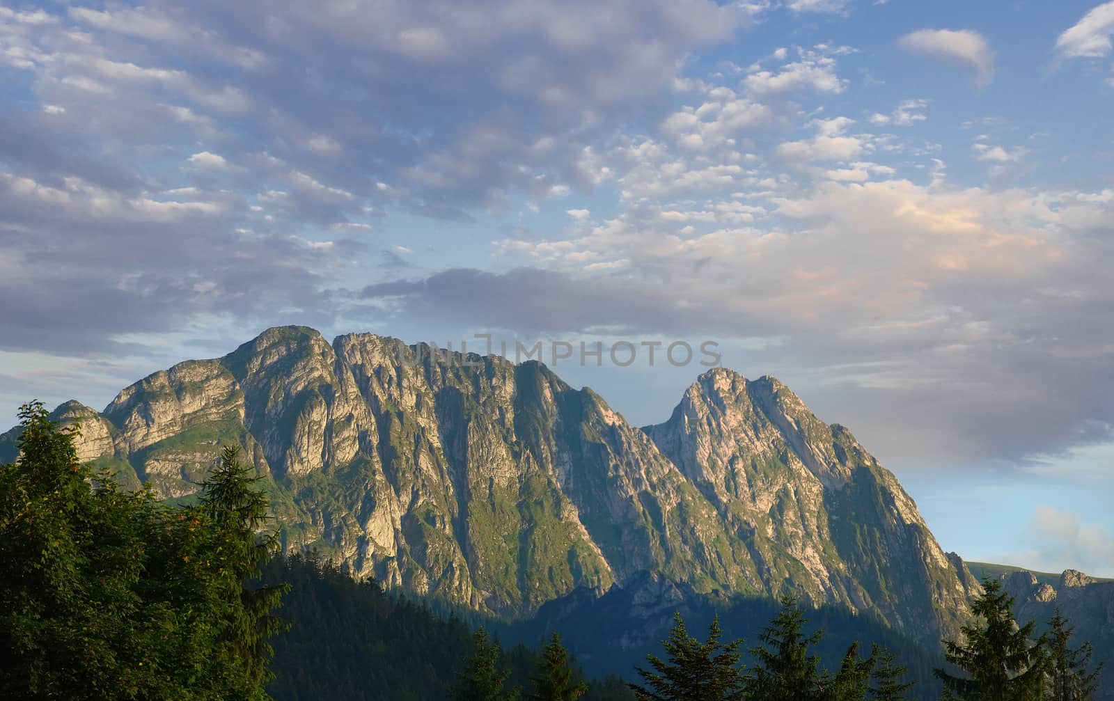 Craggy mountain massif with fir trees in the foreground on the background of the sky in the Tatra Mountains 
