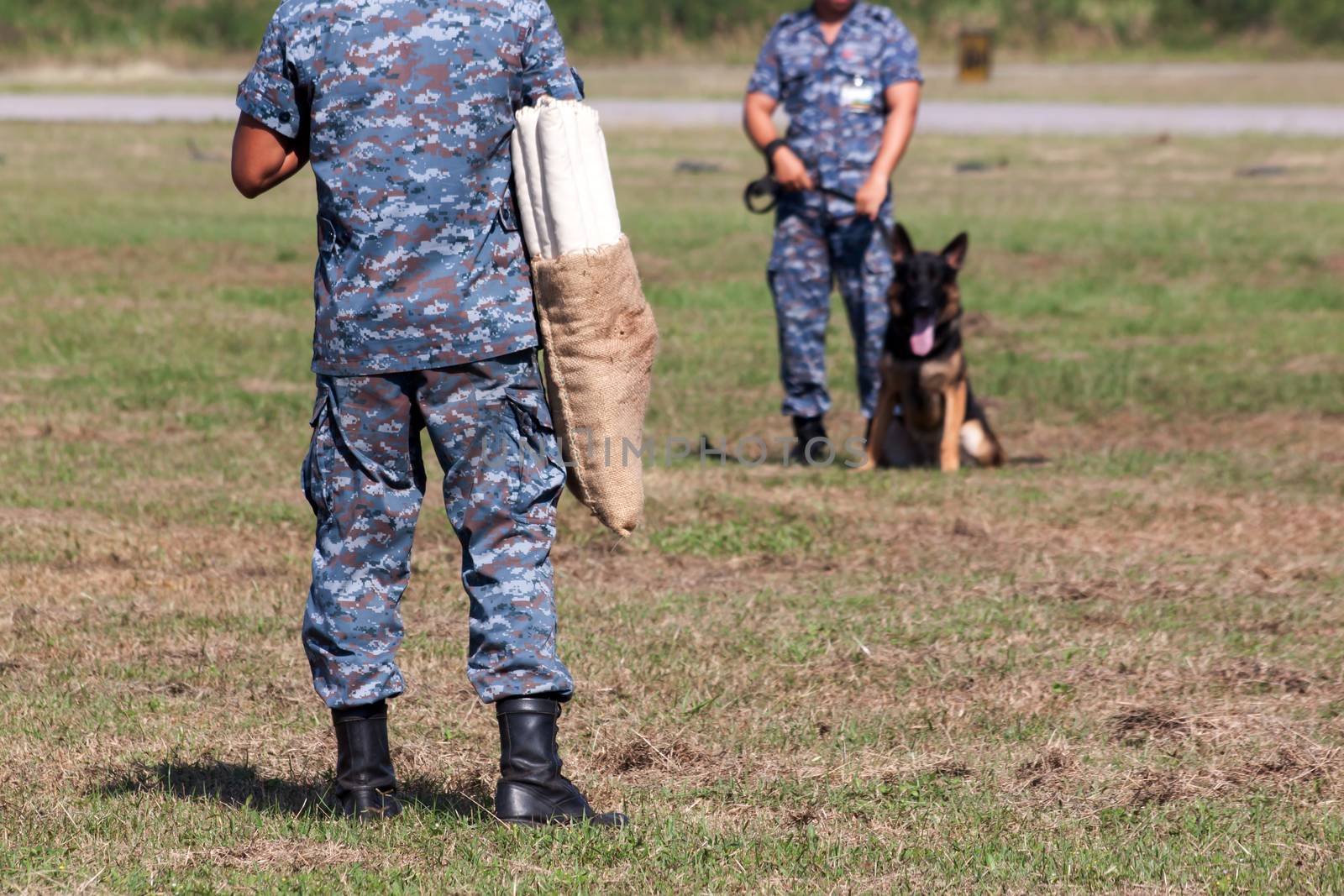 Soldiers from the K-9 dog unit works with his partner to apprehend a bad guy during a demonstration