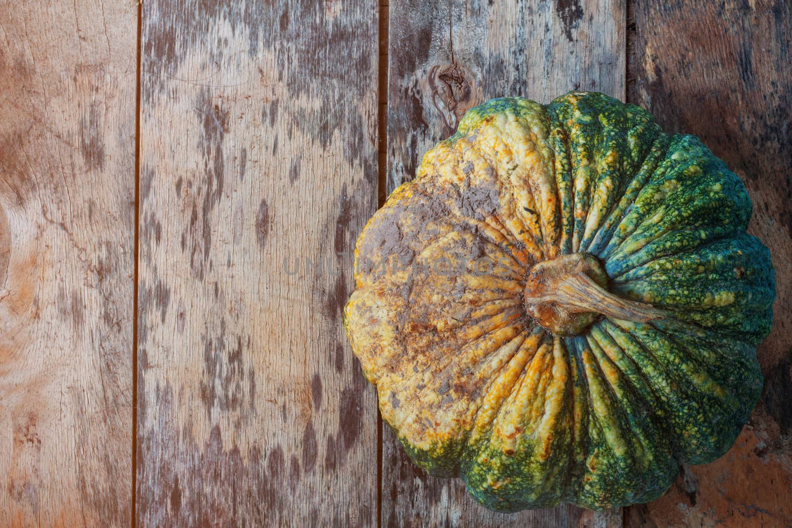 Pumpkin with the soil on the old wooden floor.