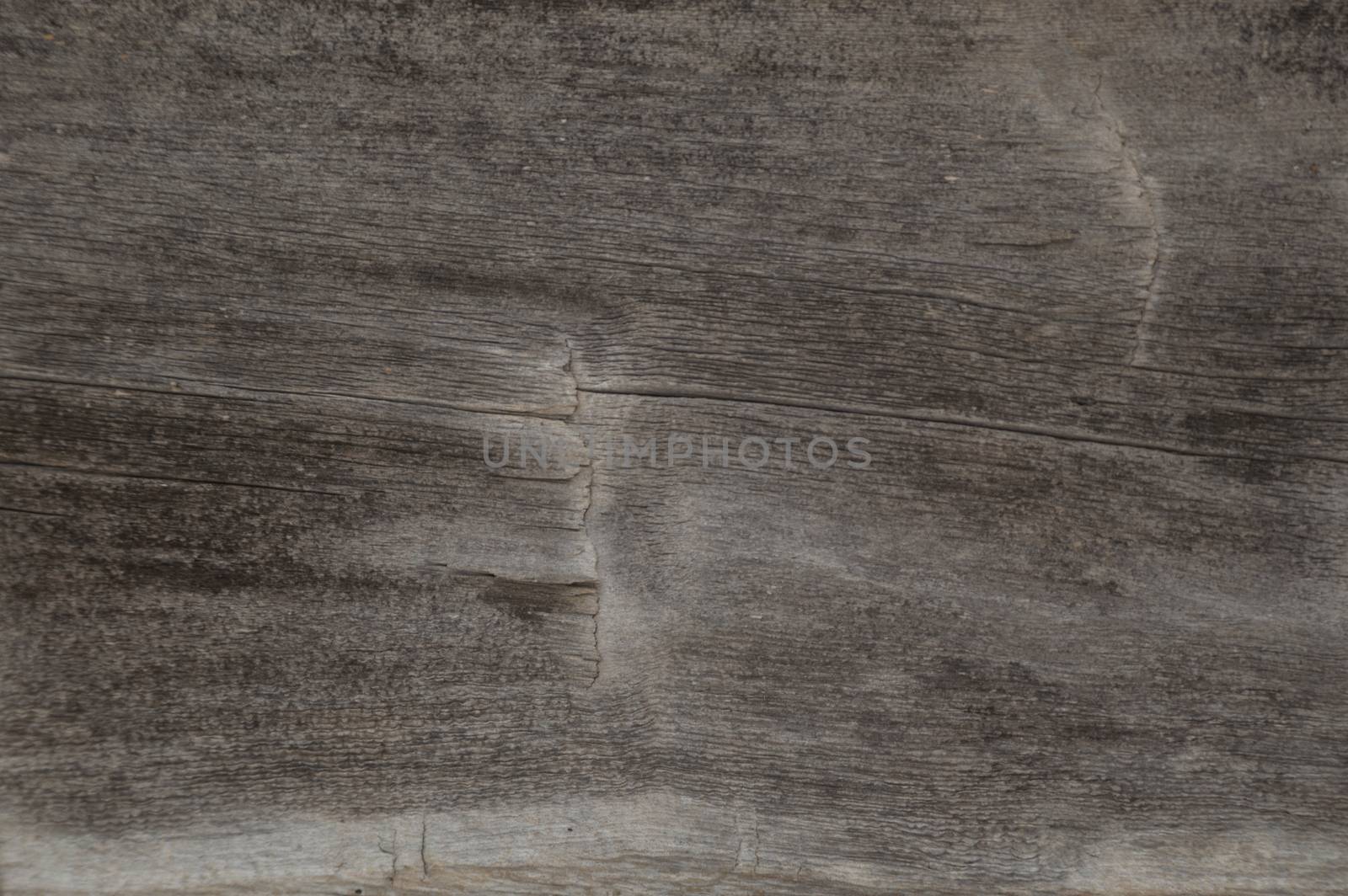 Old log cabin wood timber closeup with wood grain and adze marks. Background