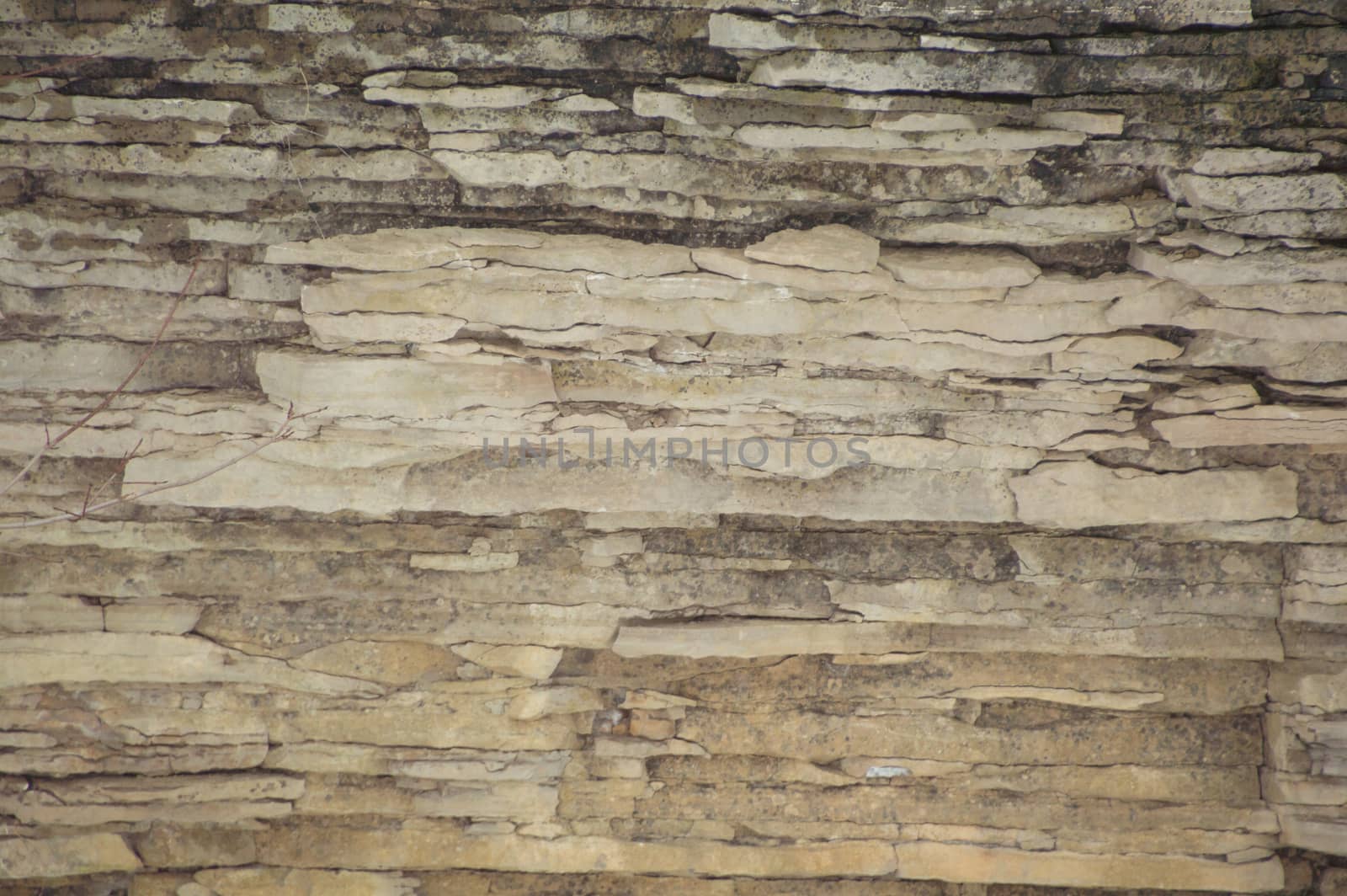 A background cliff face of weathered sedimentary limestone with cracks in it.
