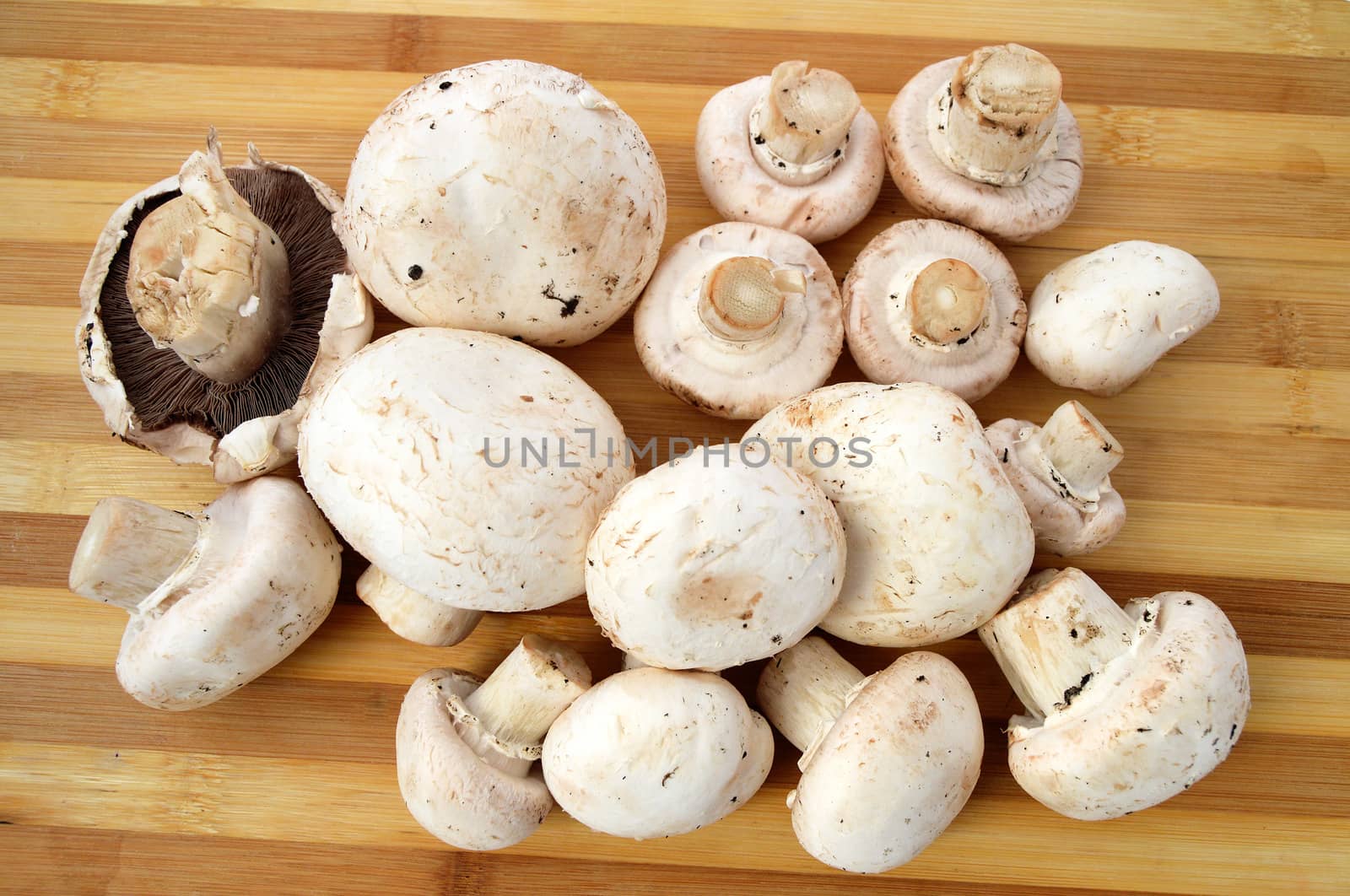 New and high quality images of cultured mushrooms by nhatipoglu