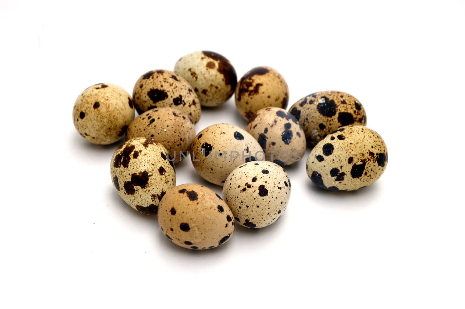 Pictures of quail eggs in on white background by nhatipoglu