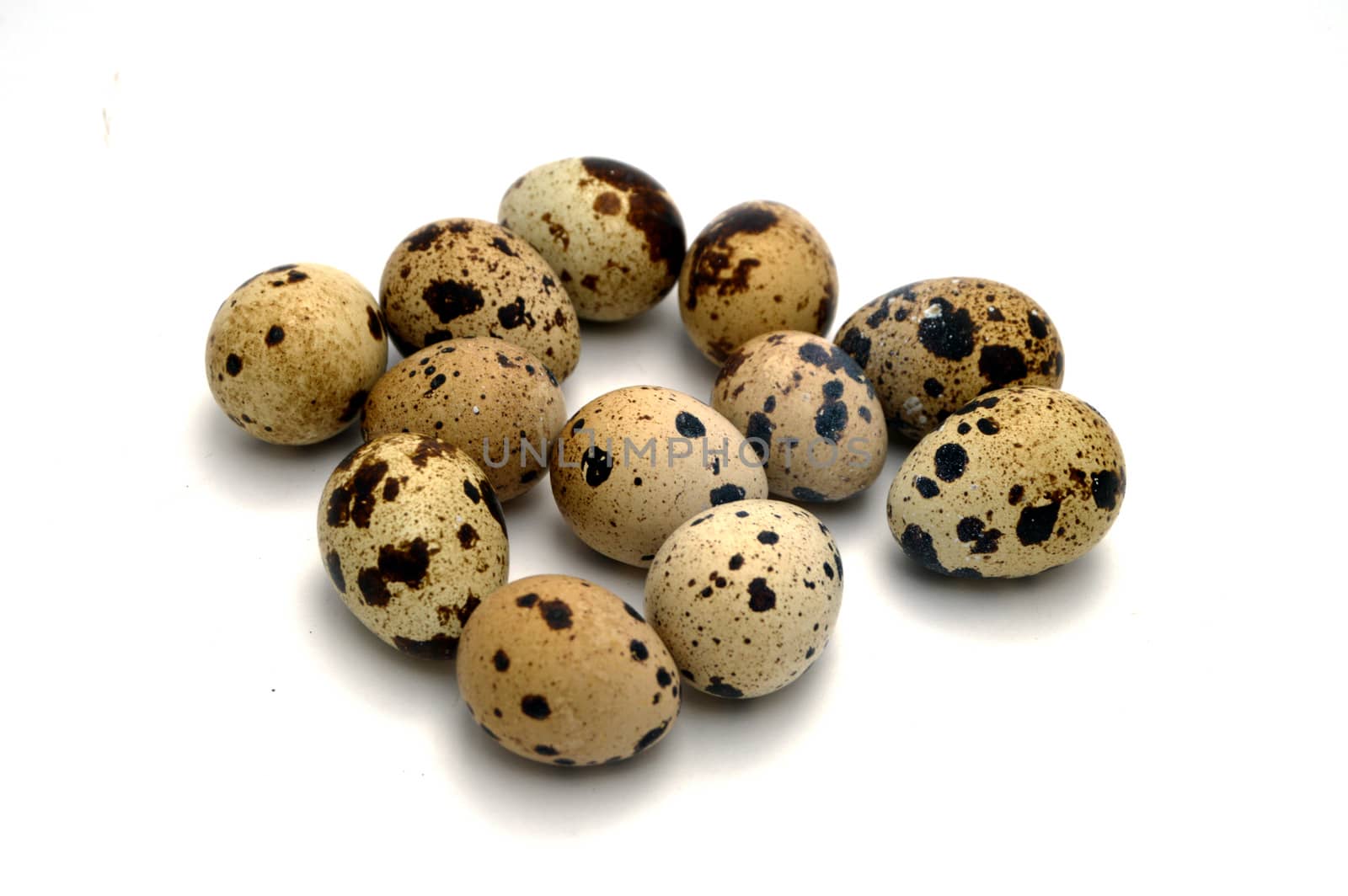 Pictures of quail eggs in on white background by nhatipoglu