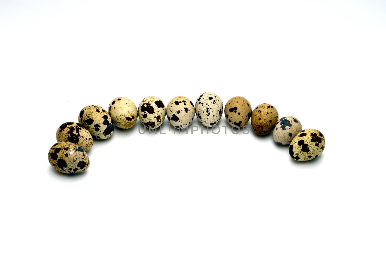 Images of quail eggs with high nutritional value with infinite white background