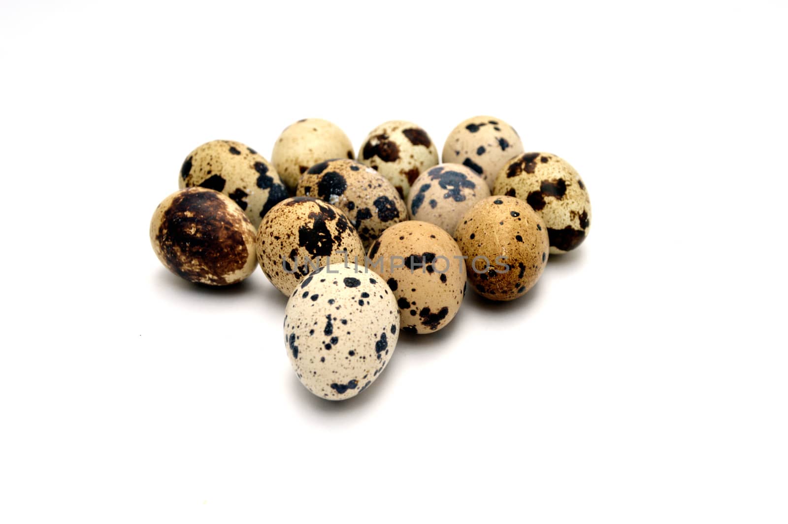 Pictures of quail eggs in on white background by nhatipoglu