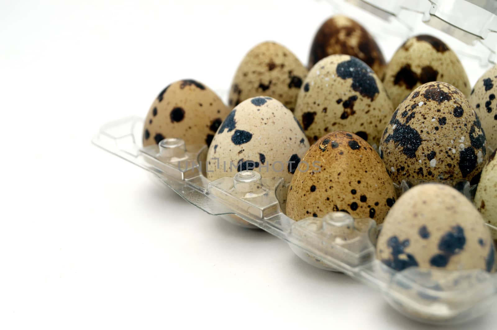 Pictures of quail eggs in on white background by nhatipoglu