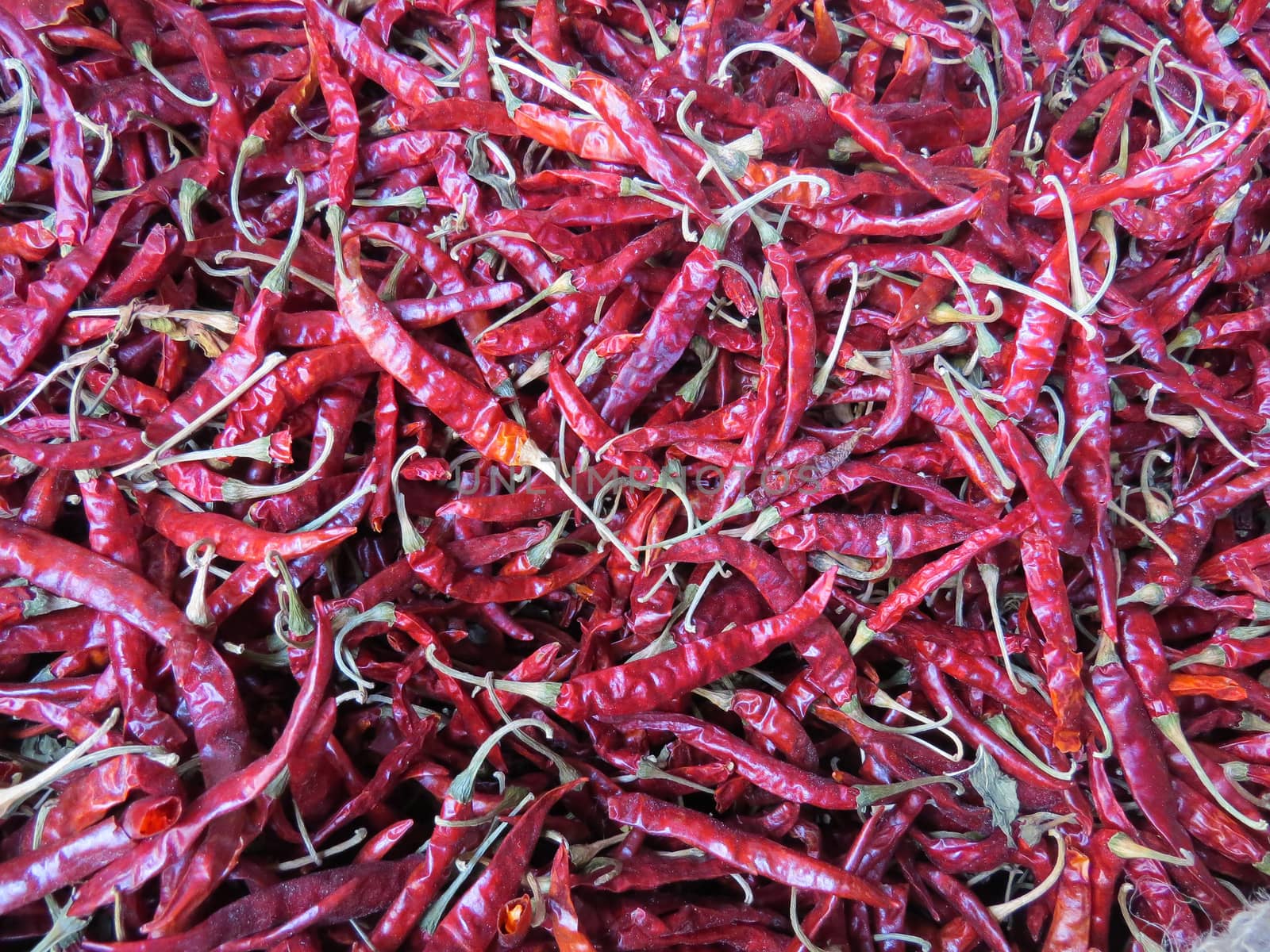 Dried Red Chillies Background by thefinalmiracle