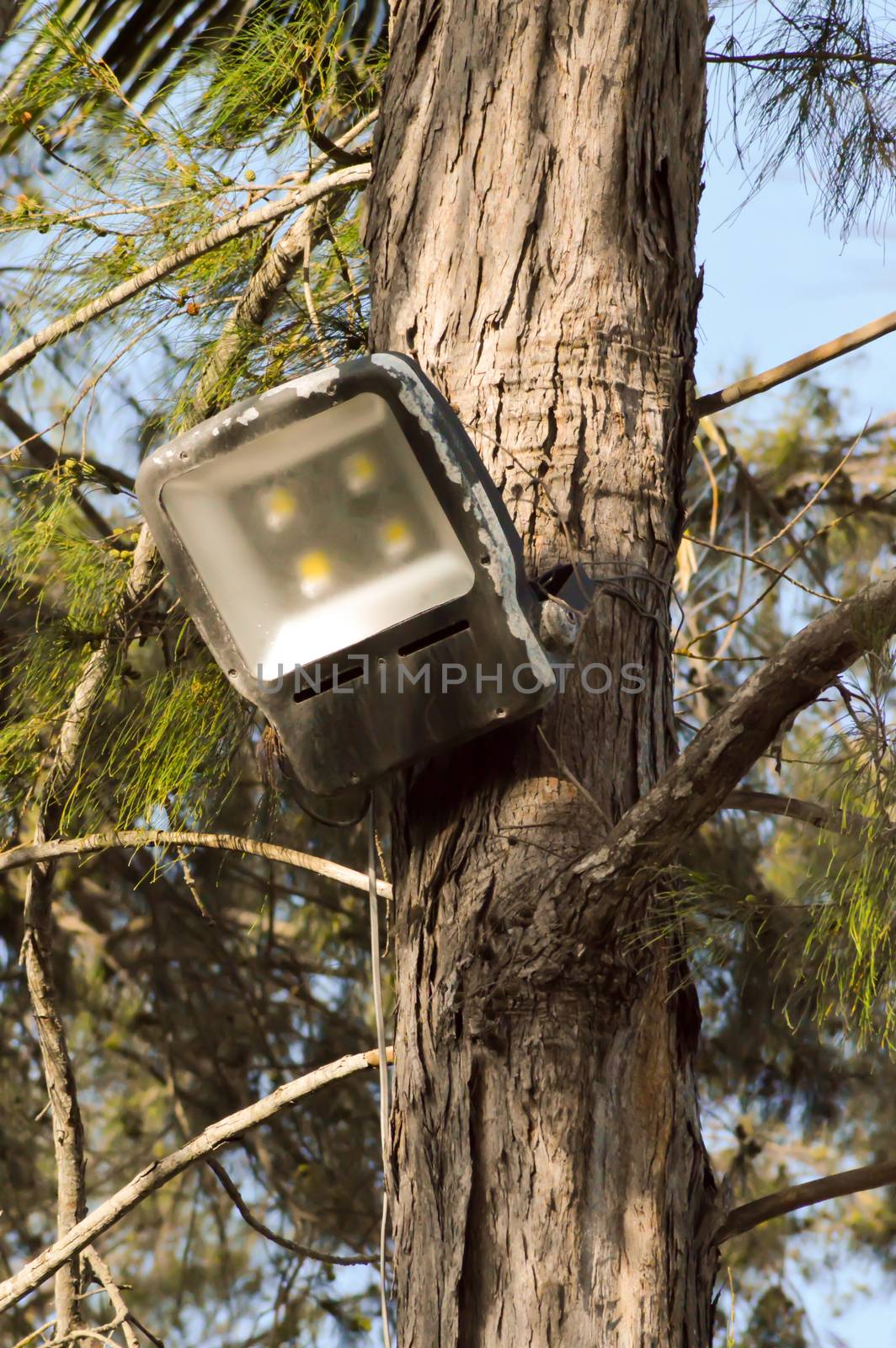 Spot led fixing on a tree outside