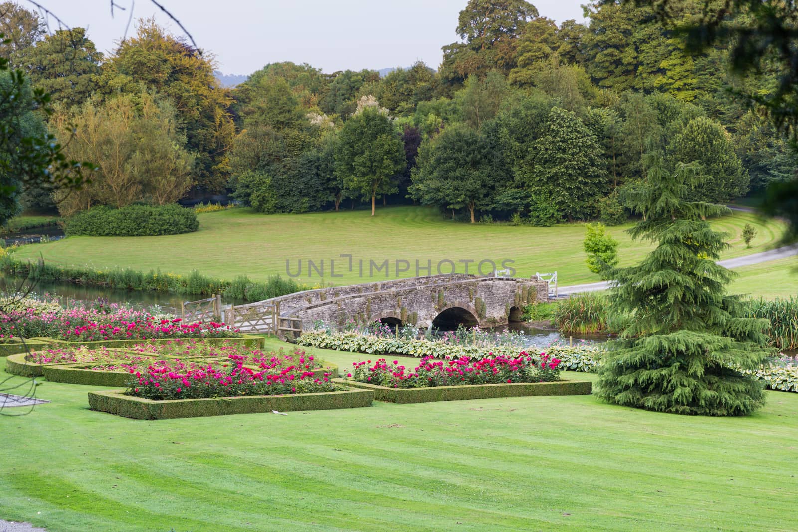 English country garden in the Peak District, UK by chrisukphoto