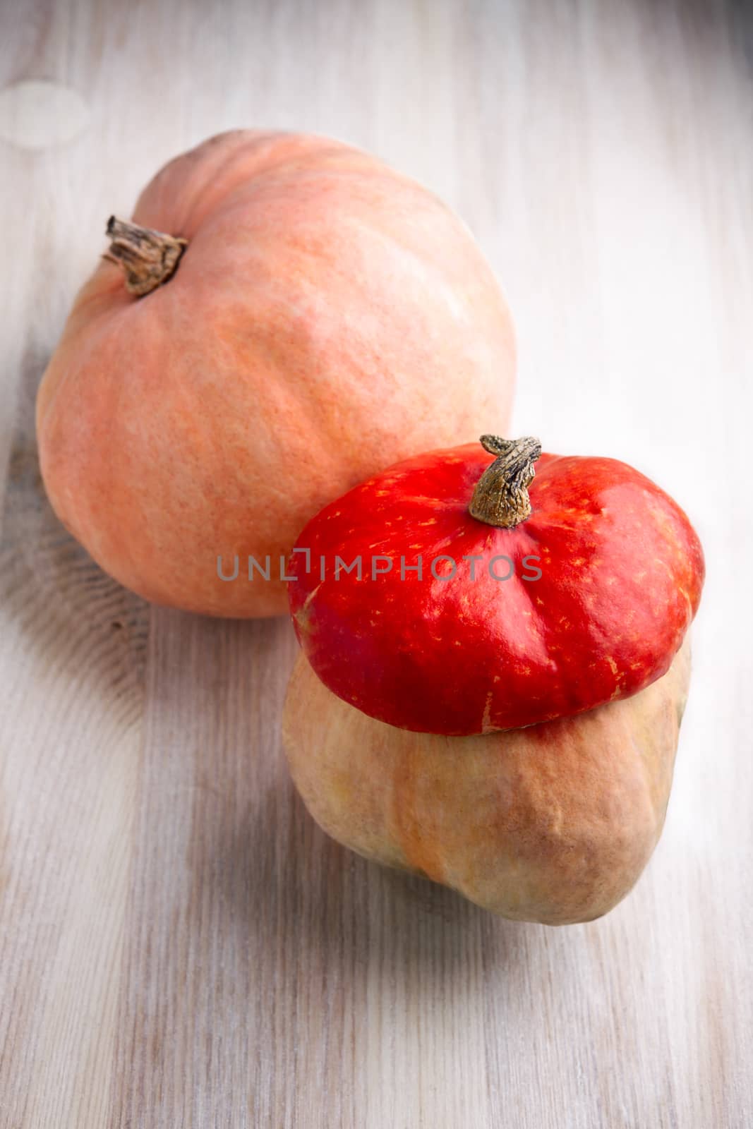 Pumpkin and turk's turban squash on wooden table