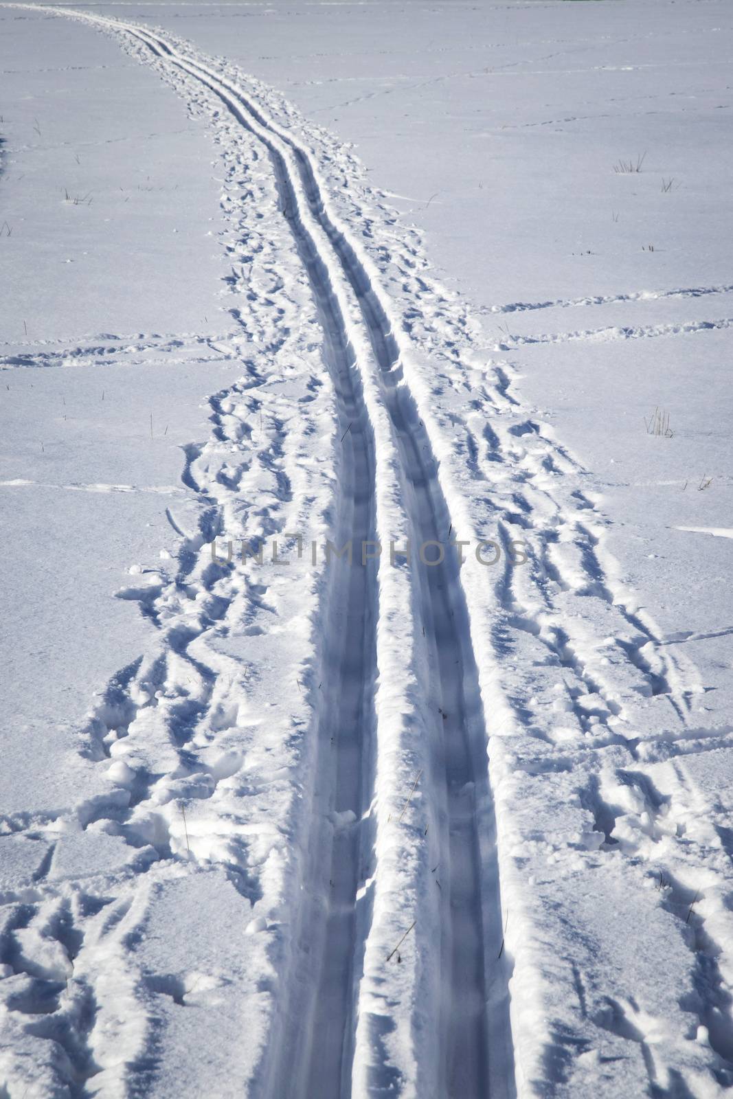 seasonal background long country ski trail snowy landscape