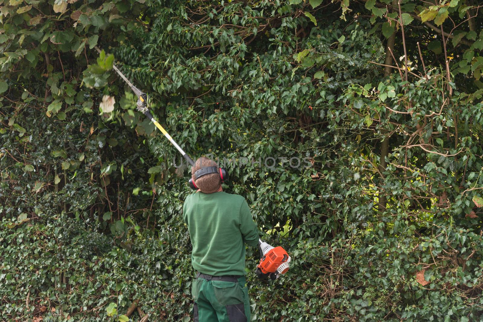Professional hedges cutting       by JFsPic