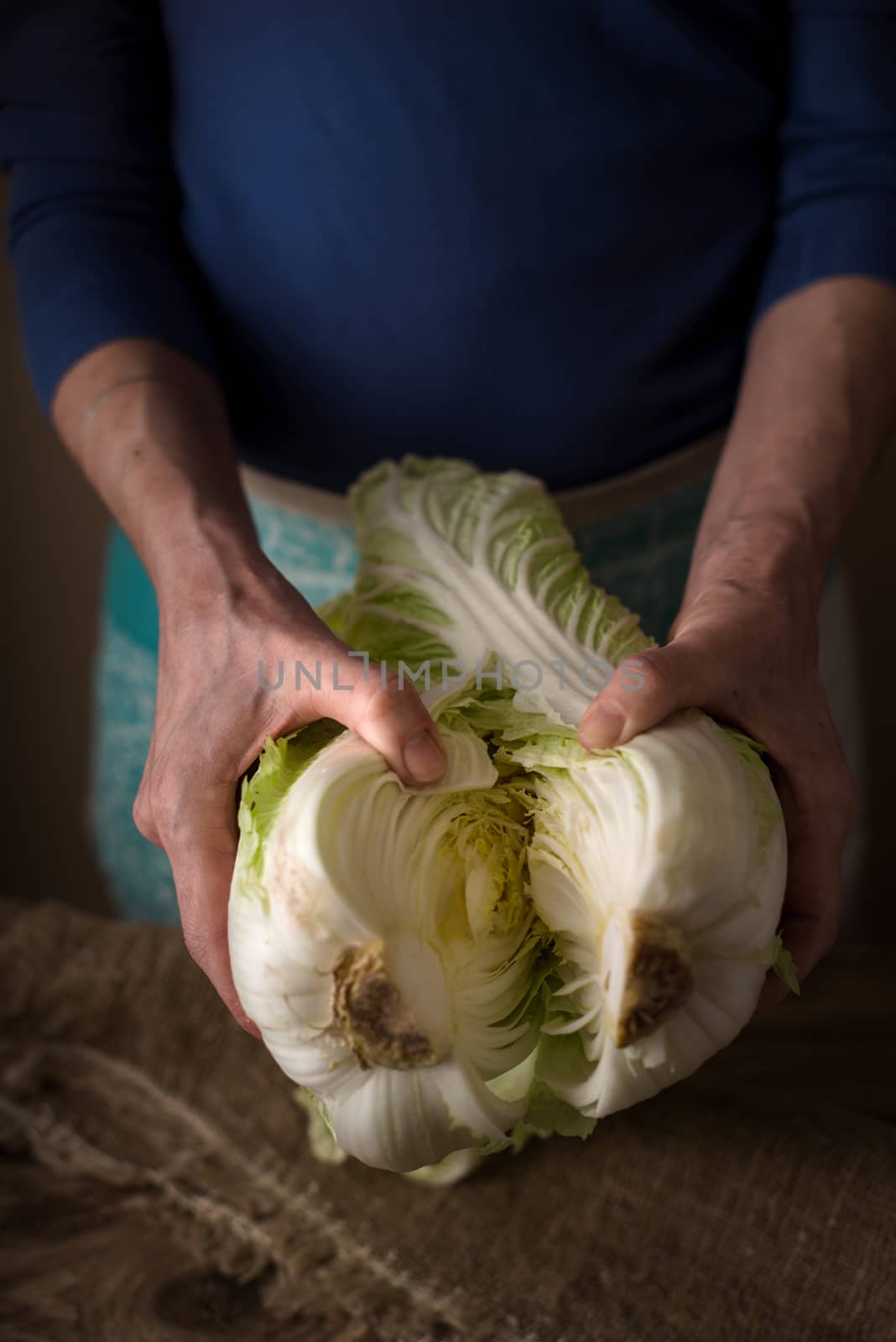 Woman shares the Chinese cabbage into two halves on the table vertical