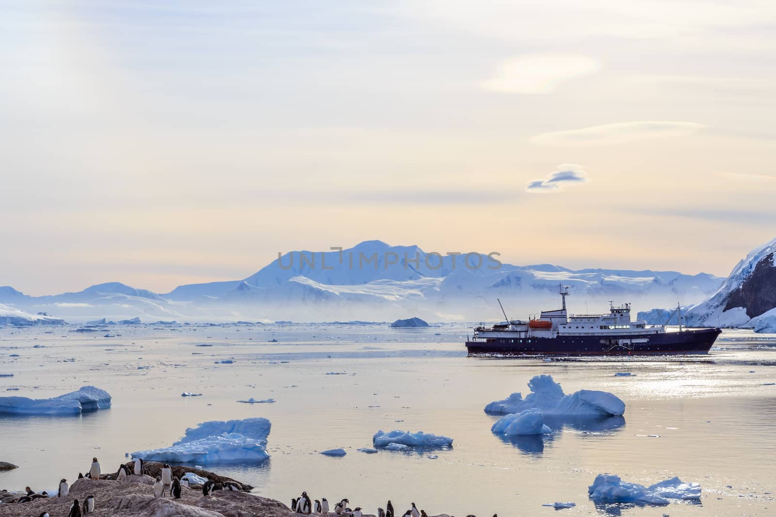 Antarctic cruise ship among icebergs and Gentoo penguins on the shore of Neco bay, Antarctica