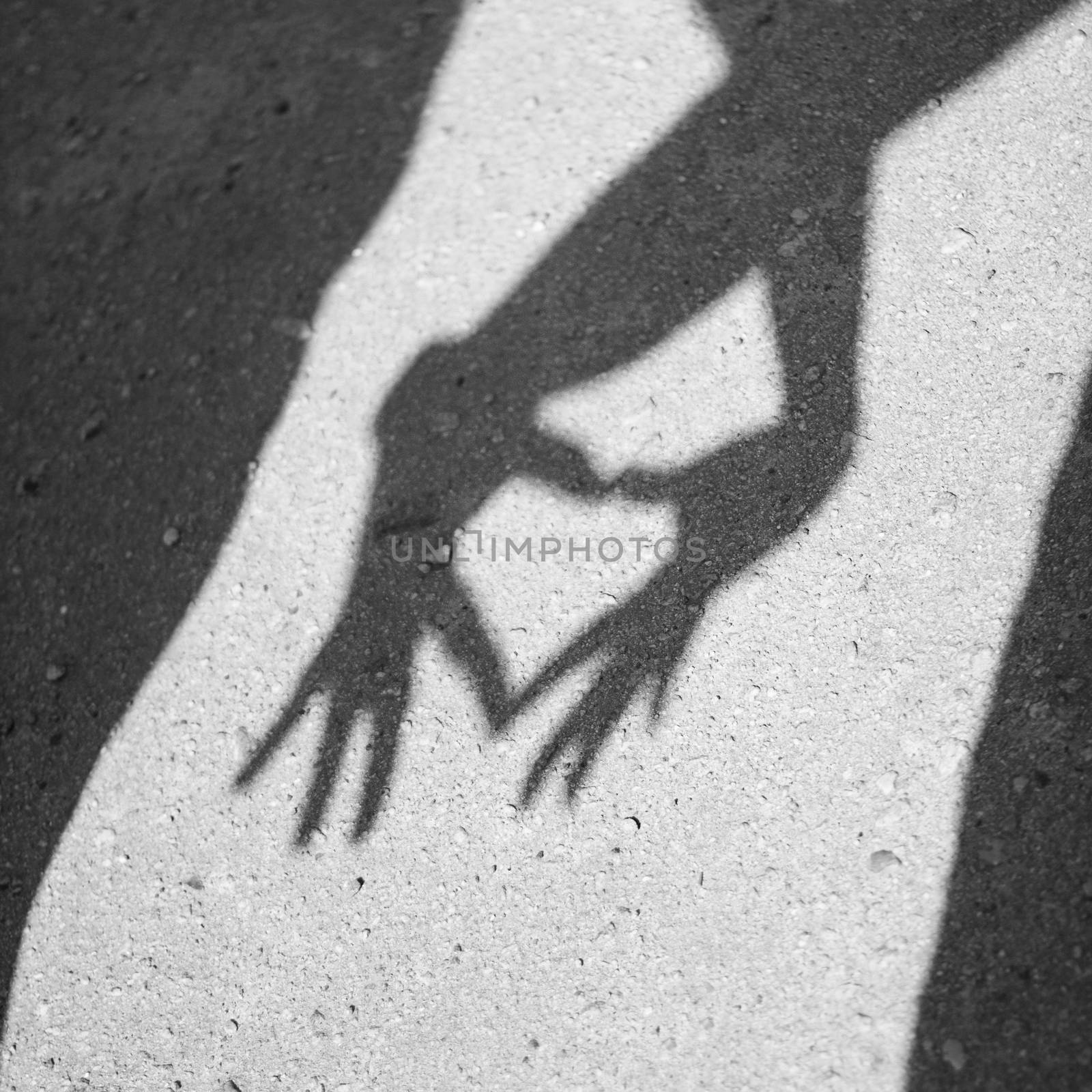 The heart of the shadows by natazhekova