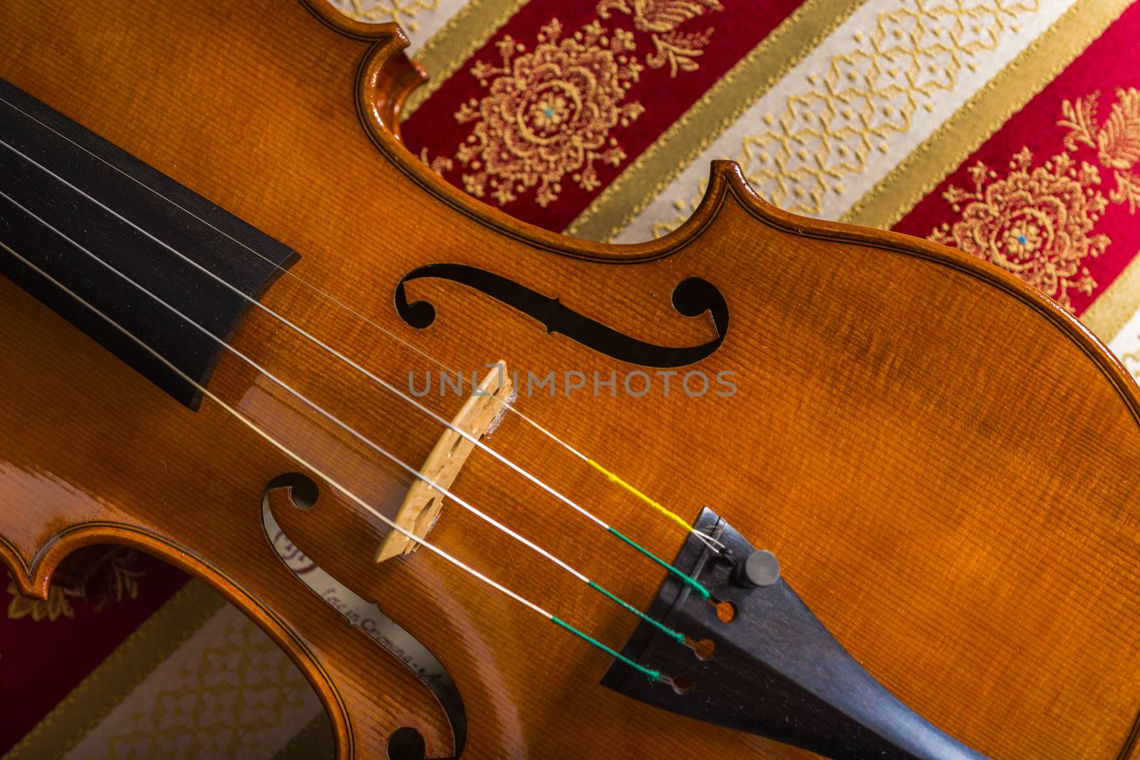 Violin in a still life composition