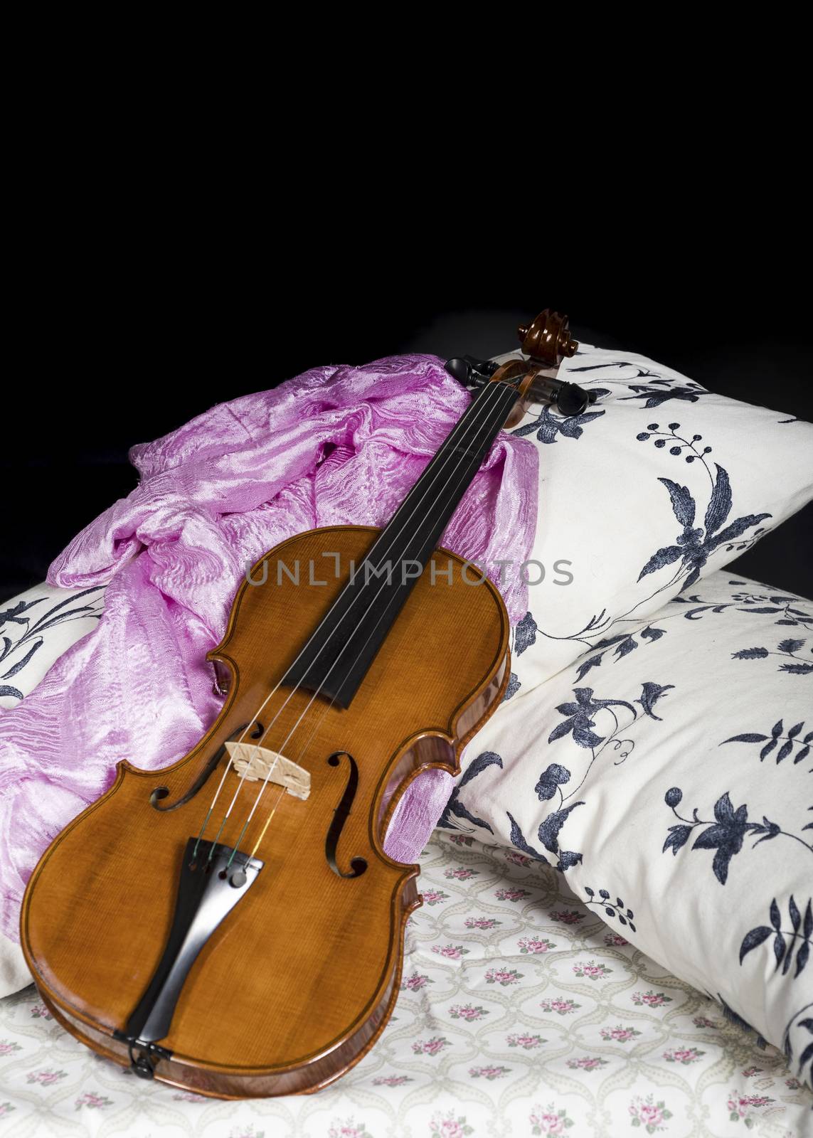Violin in a still life composition